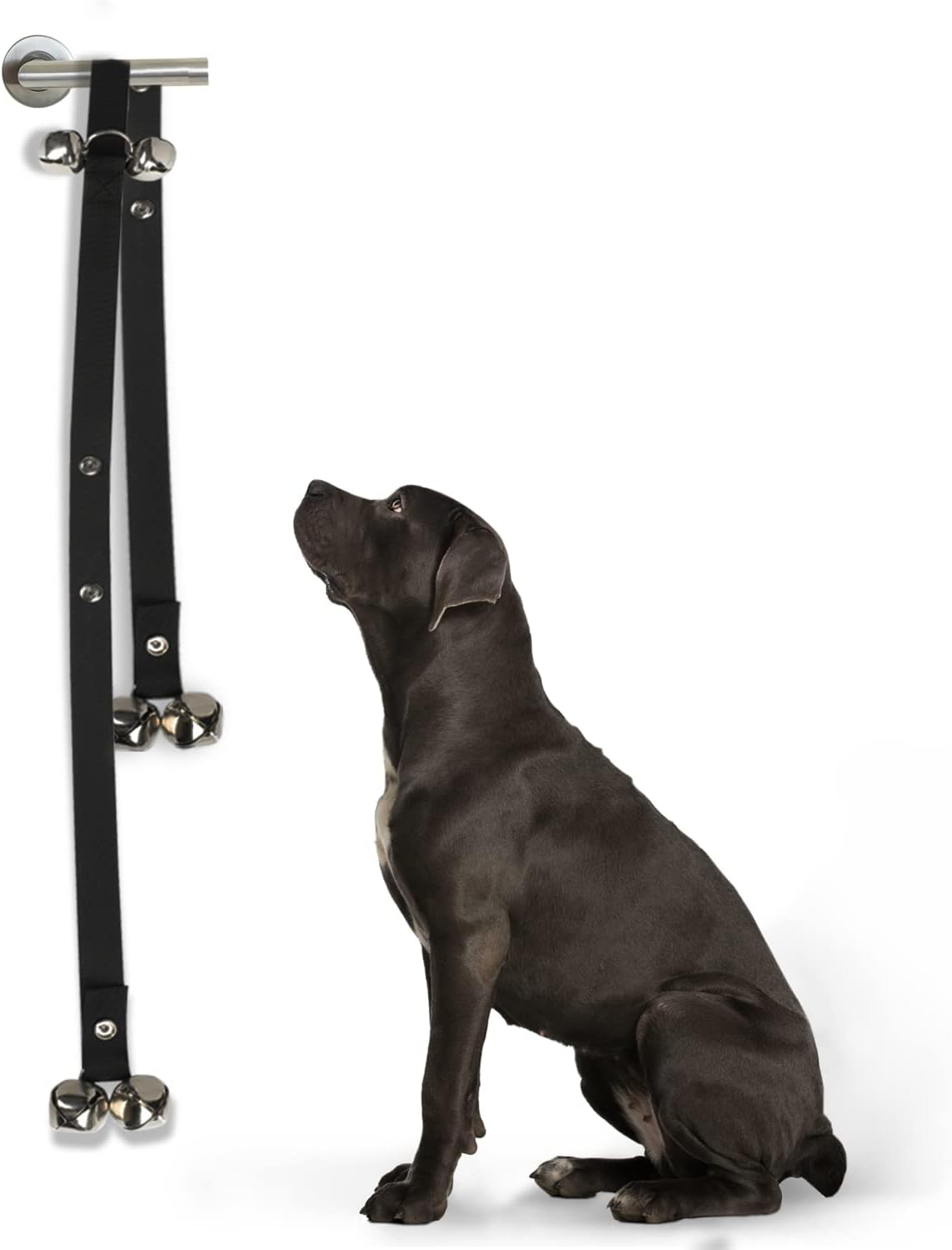 Furdreams Dog Training Doorbells, Durable Puppy Toilet Training Bells with Loud Jingle, Length Adjustable and Ages, Teaching Your Fur Babies to Ring When Its Toilet Time to Get Outside image number 4