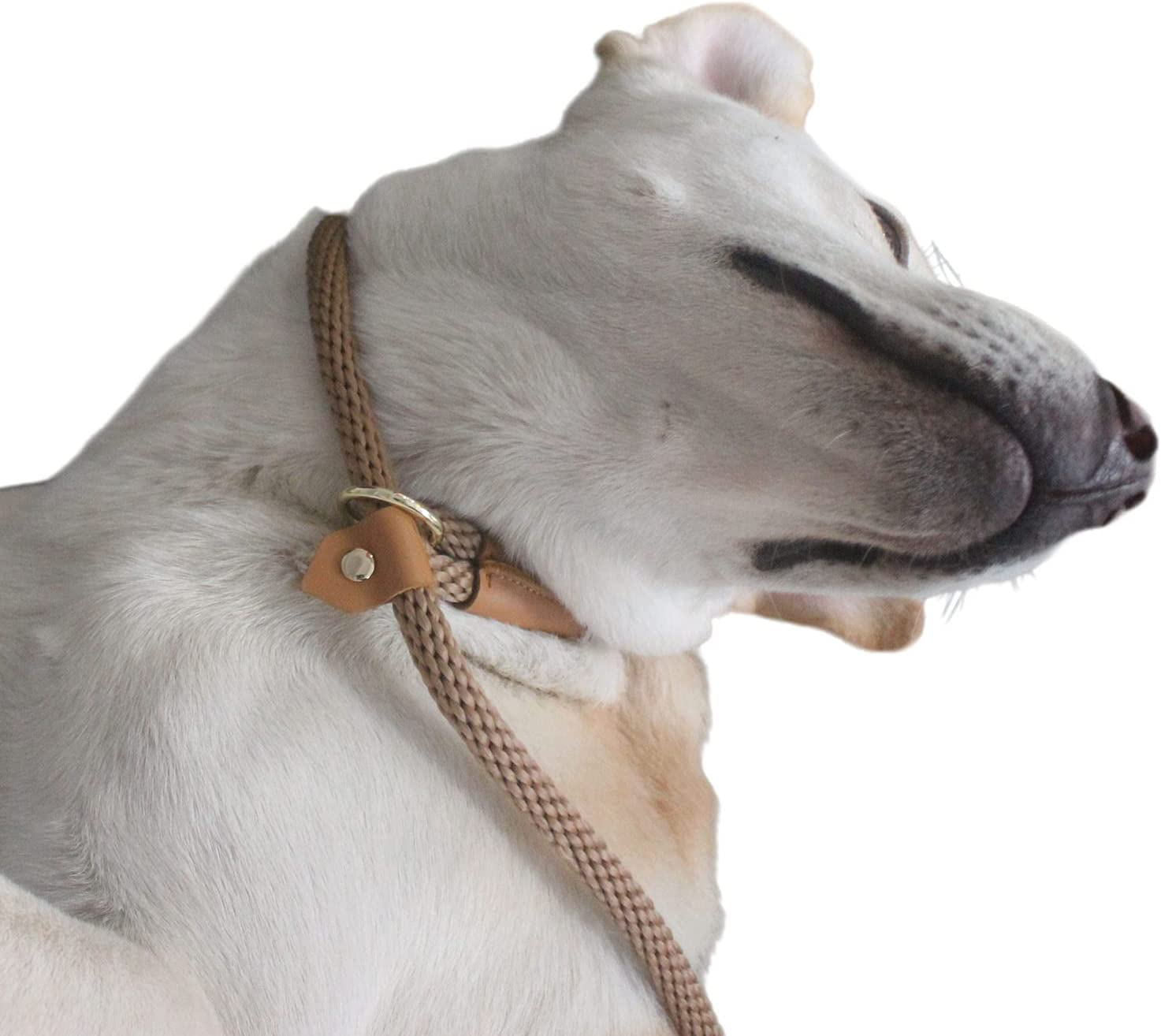 Slip Leads for Dogs 6FT, Checkcord Rope Slip Leash, No Pull Dog Rope Slip Leash, Easy to Use Leash Collar Combo Black - Beige image number 6