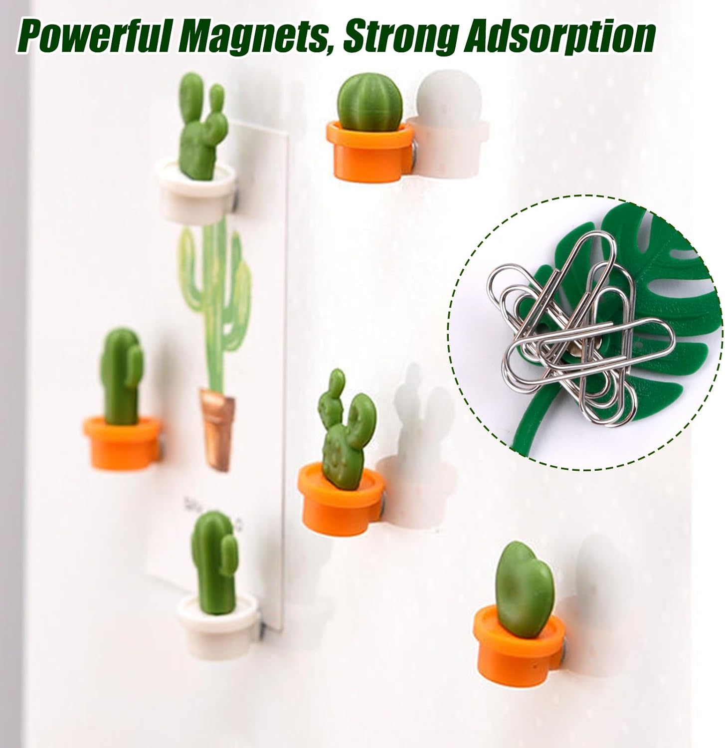 RETON 20Pcs Plant Fridge Magnets Decorative Refrigerator Magnets, Cute Cactus Magnets Mini Tropical Leaves Fridge Whiteboard Magnets, Plants Magnet Stickers for Fridge Home Office Decor (2 Styles) image number 3