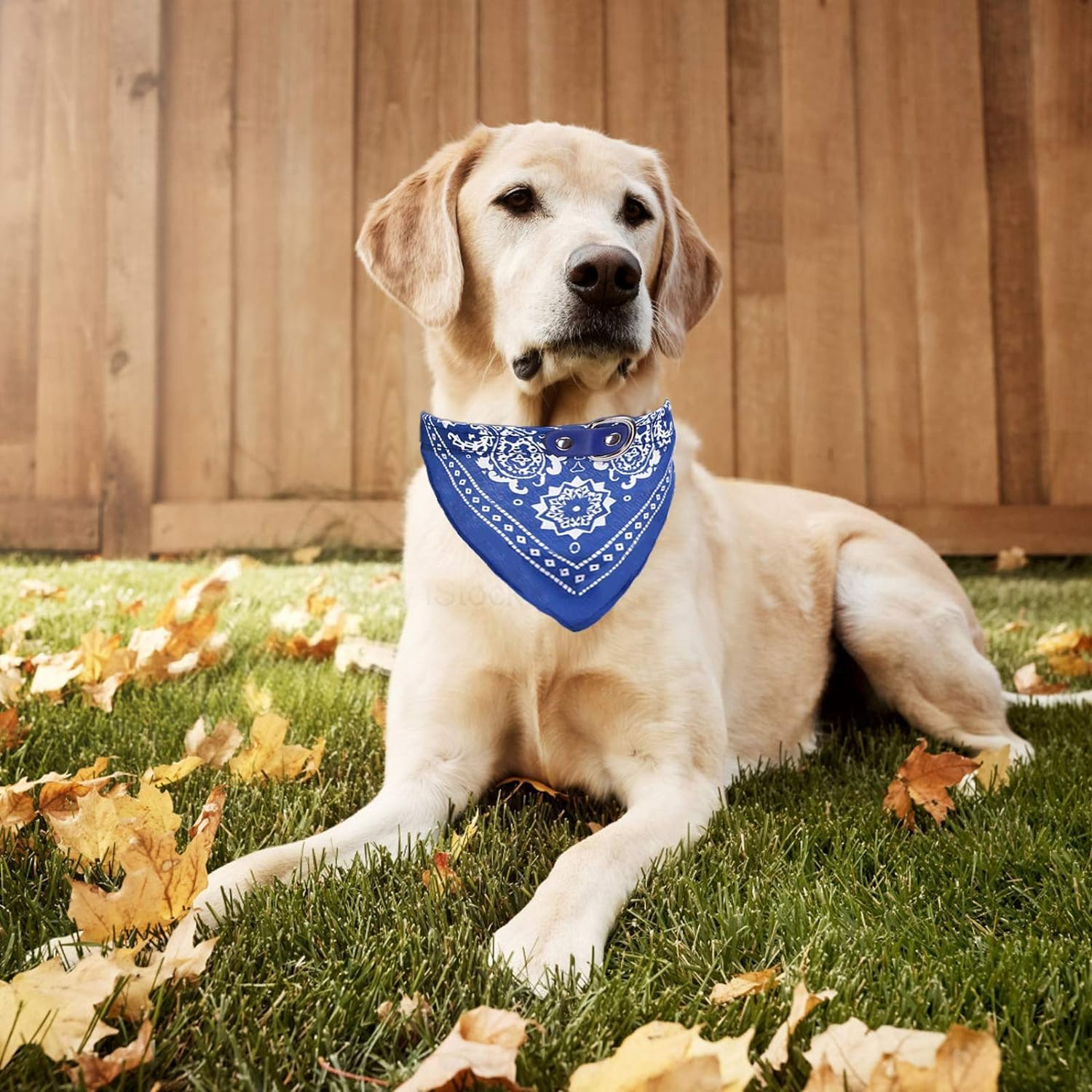 Dog Bandana Collar Scarf, 6Pcs Pet Triangle Bib with Adjustable Buckle, Pet Bandana Puppy Dog Scarf Collar Neckchief with Adjustable Buckle, Dog Neckerchief Bandana Collars