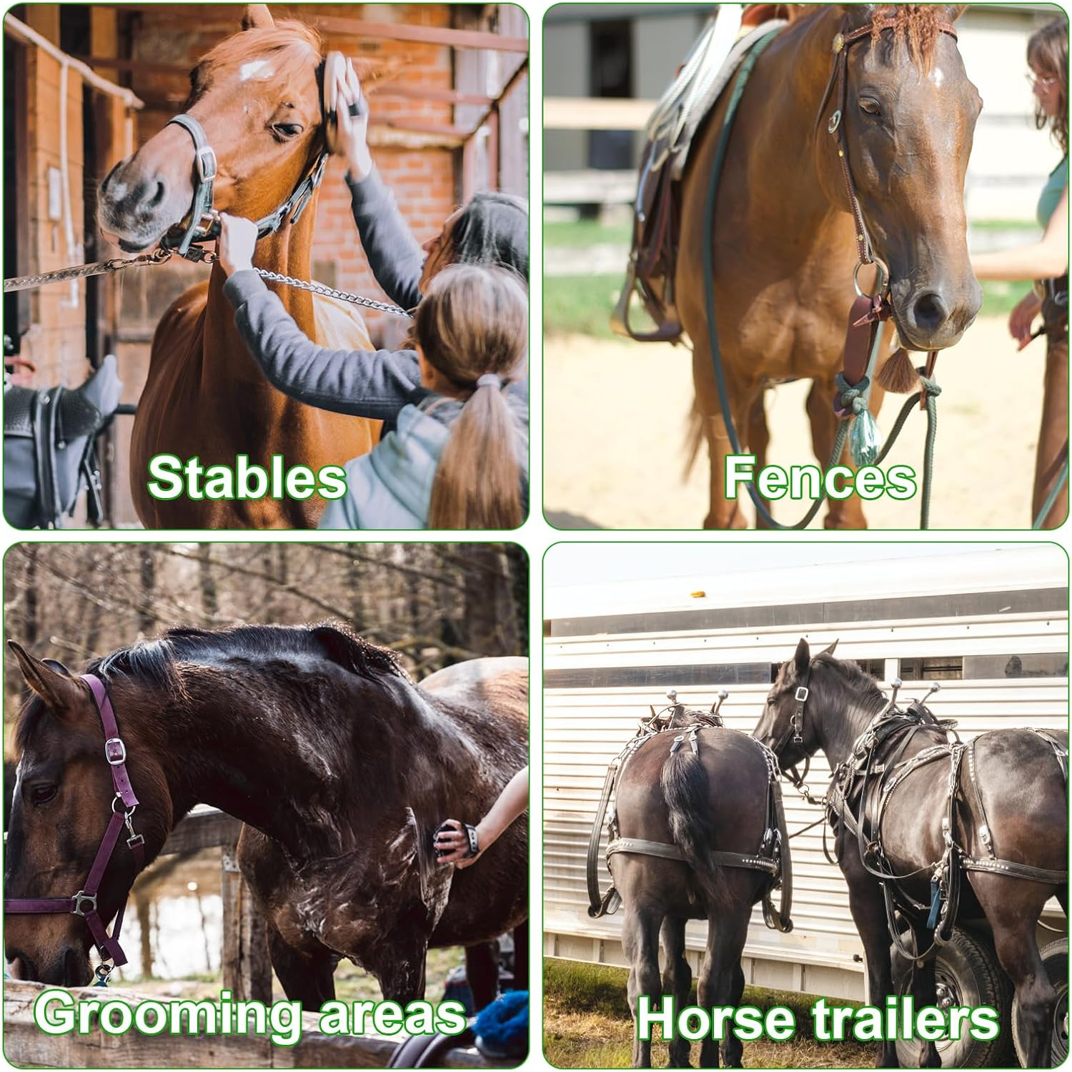 Horse Tie Ring, Stainless Steel Tie Ring for Horses Safe Horse Tack Supplies with Eye Bolt and Snap Prevents Horse Pulling Back