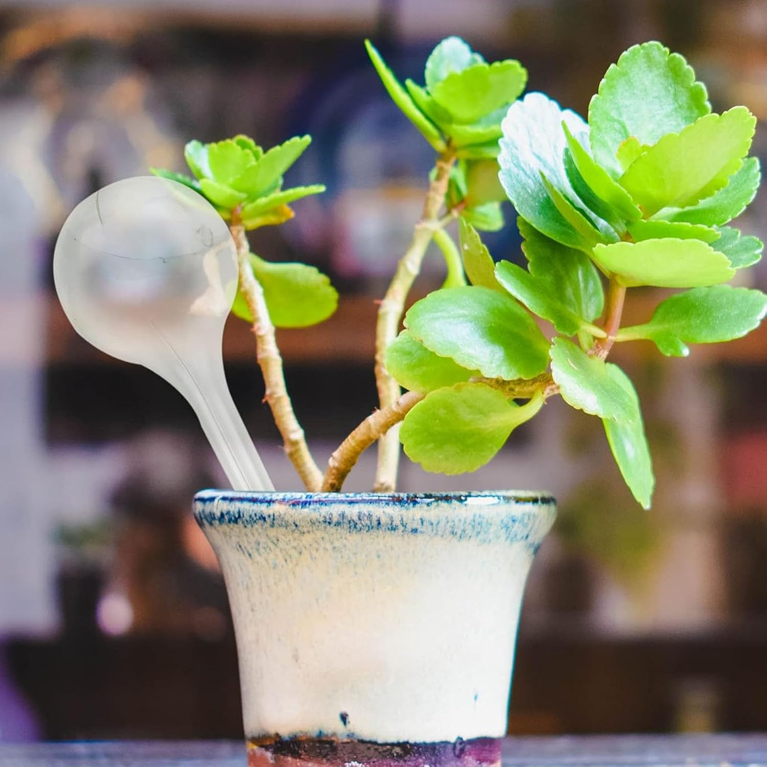 Plant Watering Bulbs for Indoor Plants 12 Pcs, Self Watering Globes Water Bulb for Indoor Outdoor Plant, Self Watering Planter Insert image number 1