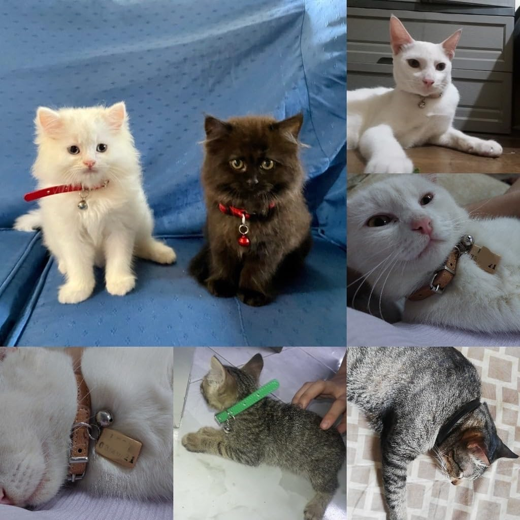 Leather Pet Collars for Cats,Puppy Dog,Kitten Collar with Bell (Red, S) image number 5