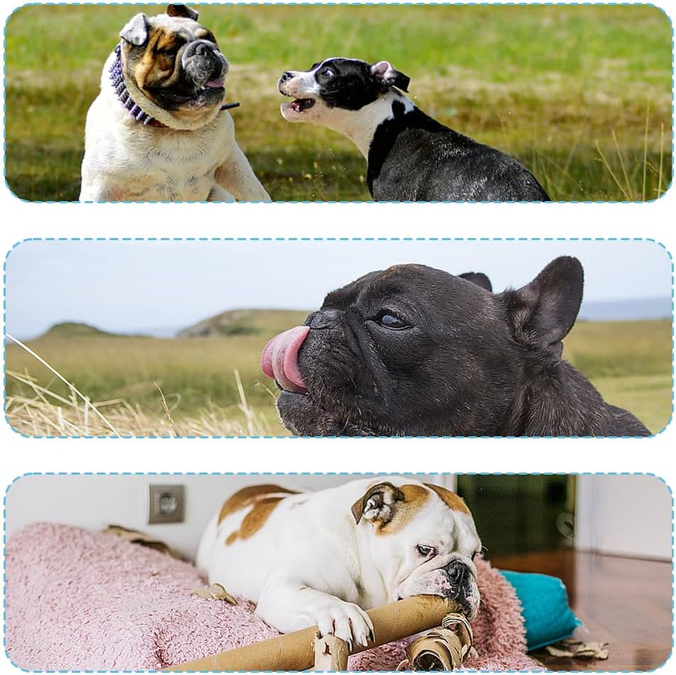 Short Snout Dog Muzzle, French Bulldog Adjustable Straps Full Breathable Mouth Mesh Smoother Soft Edge anti Biting Chewing Barking Grooming Mask Flat Faced Tongue Out Design Pet Supplies(S) image number 1