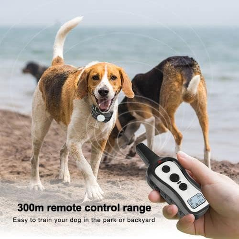 HW101 Remote Dog Training Collar (2 Dogs) with Beep Tones, Vibration, Shock, Waterproof, Safe anti Barking Device for Dogs, Dog Bark Collar for Small Medium Large Dogs, Black & Grey image number 2