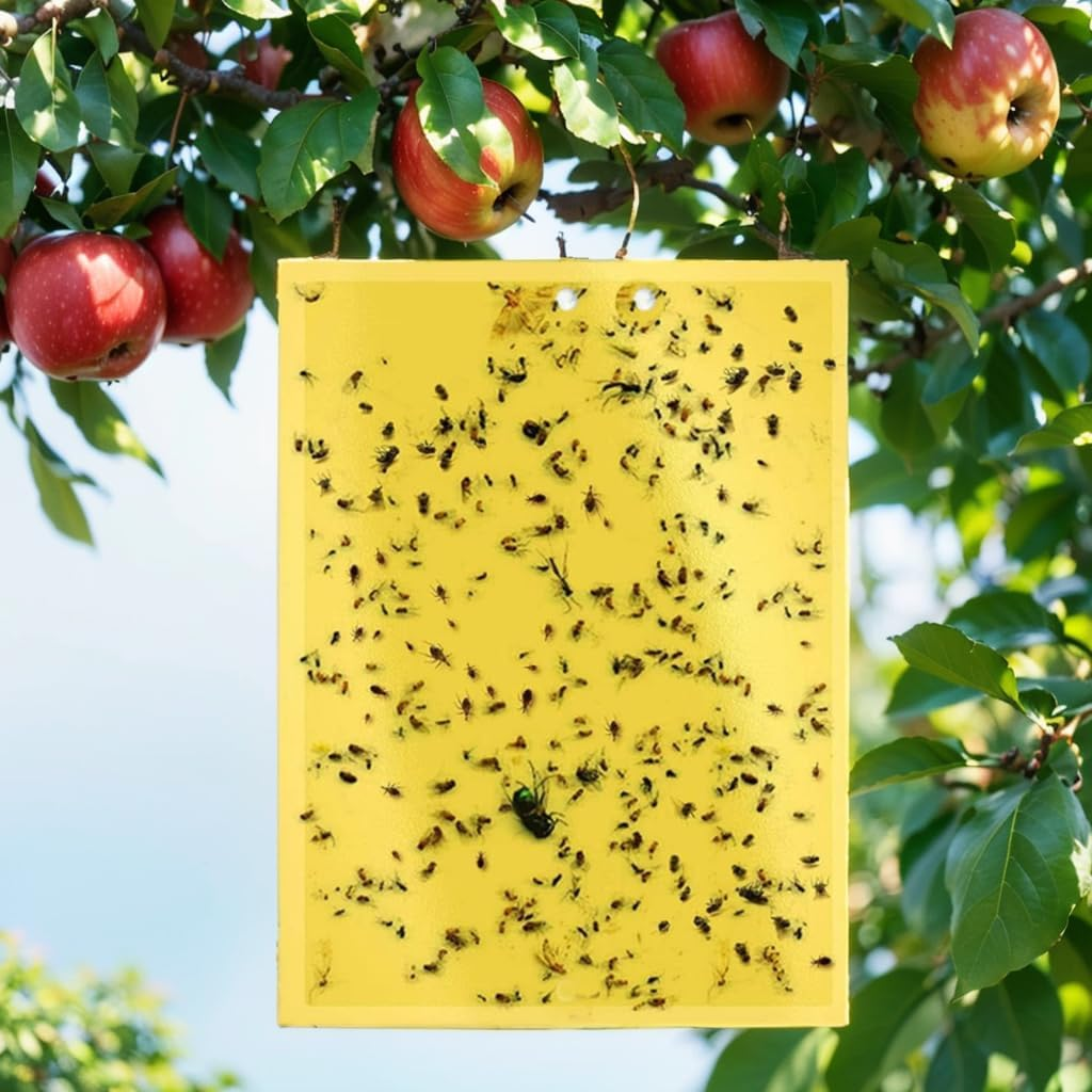 20 Pack Sticky Trap, H HOME-MART Dual-Sided Yellow Sticky Traps,Fruit Fly Trap Indoor,Gnat Traps,15X20Cm, Twist Ties Included for Flying Plant Insect like Fungus Gnats, Flying Aphid, Leaf Miners image number 1