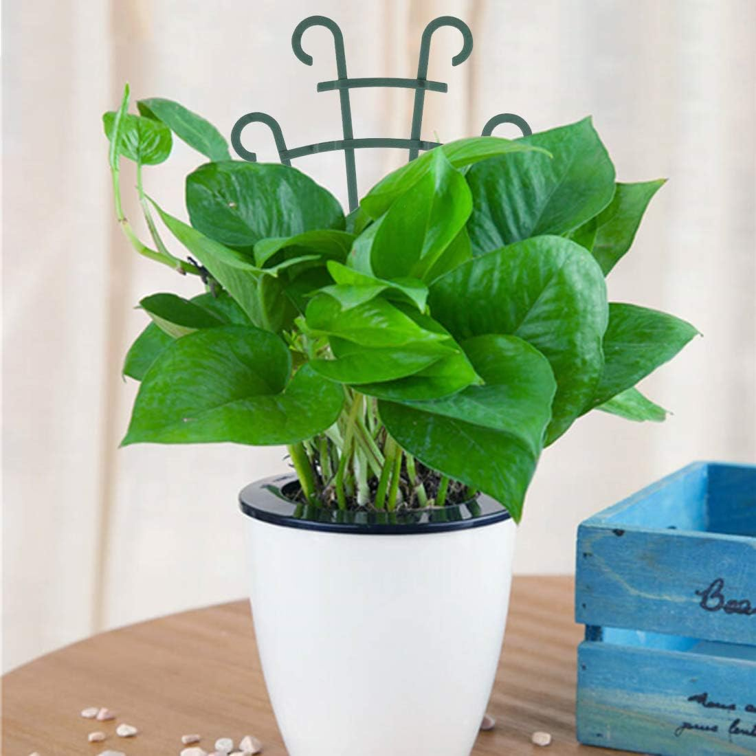 12 Pack Trellis for Potted Plants, Garden Climbing Plant Support, Plastic Mini Flower Pots Stackable Trellis for Peas, Dark Green image number 5