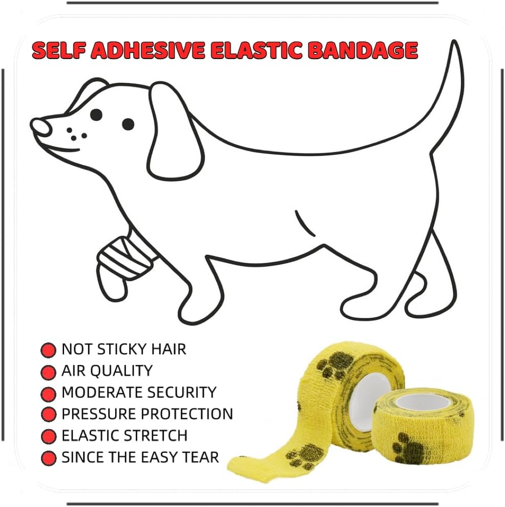 Pet Emergency Kit - Pet First Aid Kit for Dogs and Cats, Dog Camping Essentials, Dog Travel Accessories, Ideal for Home, Travel, Camping, and Hiking image number 1