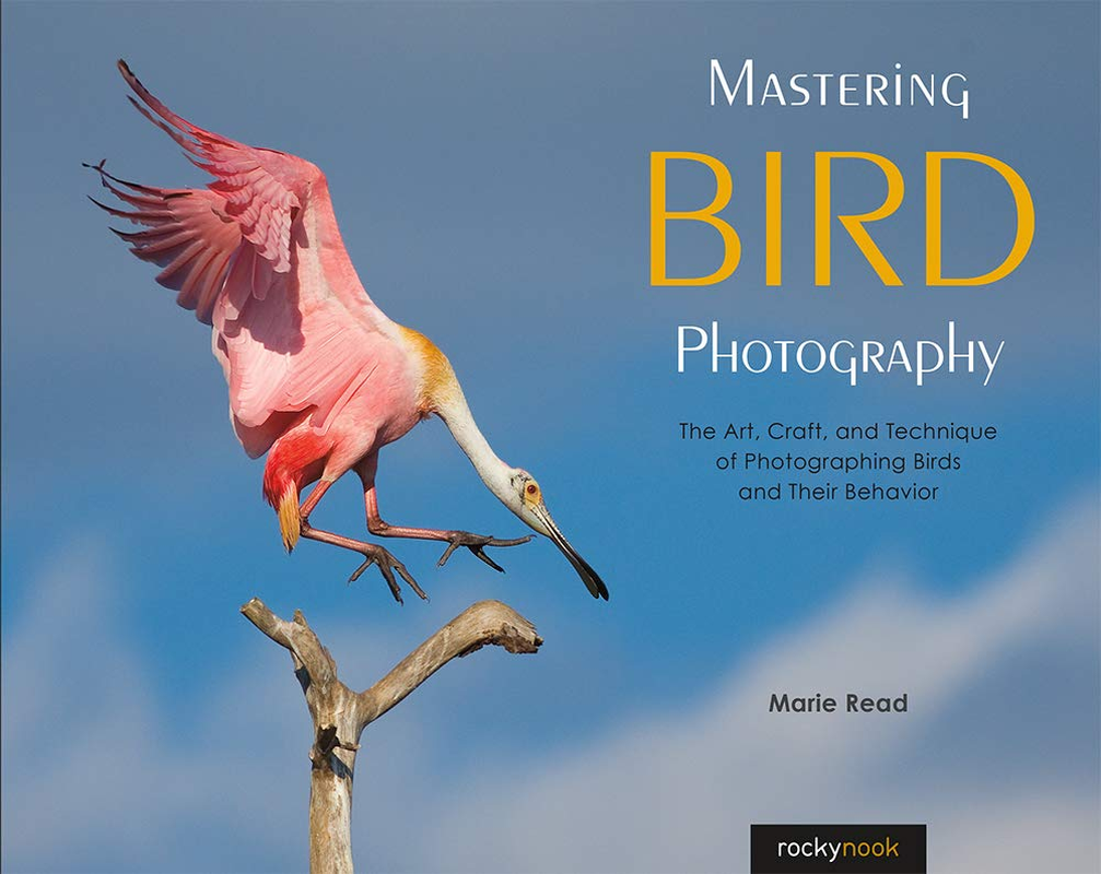 Mastering Bird Photography: the Art, Craft, and Technique of Photographing Birds and Their Behavior