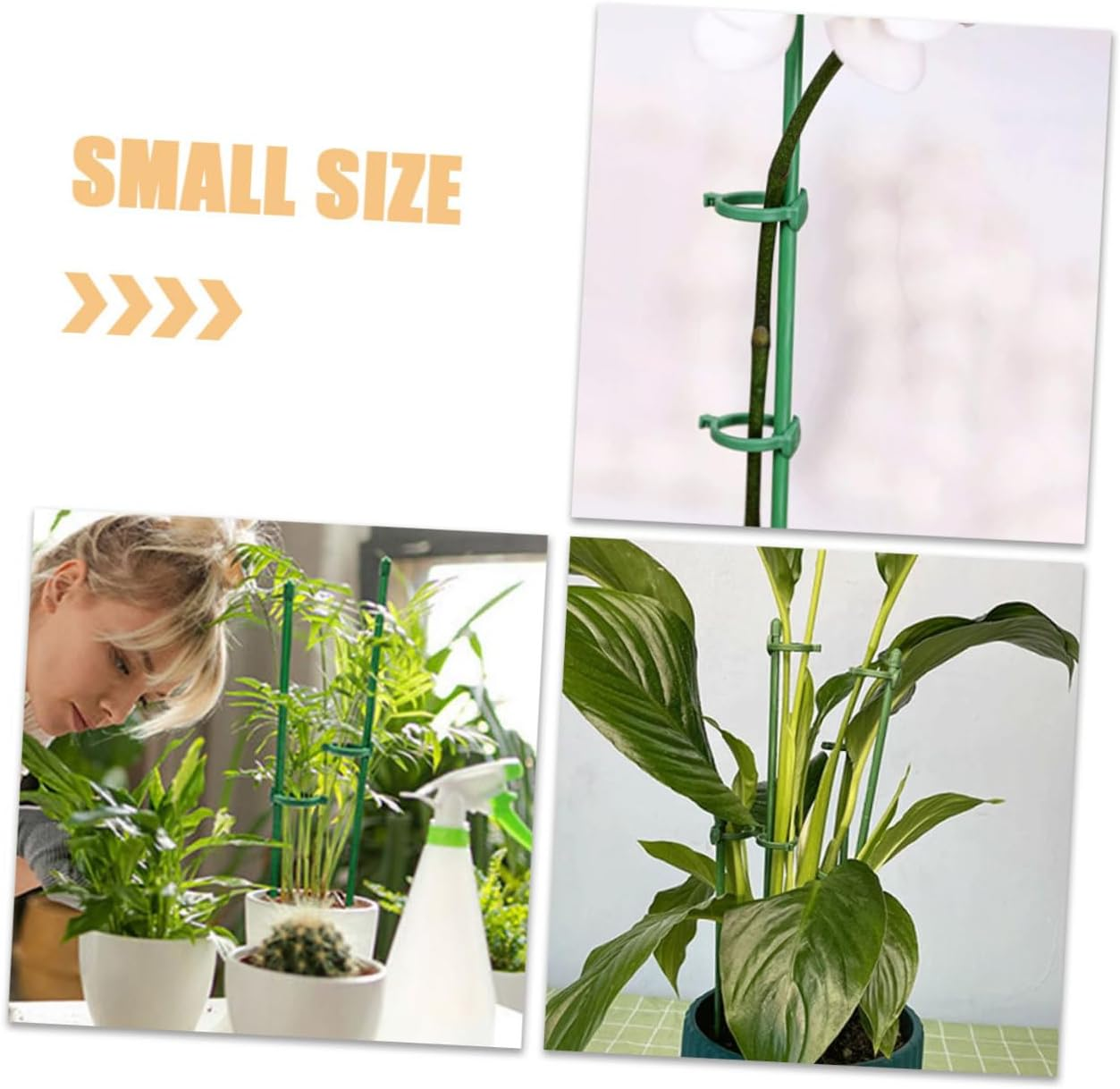 Yardenfun 12Sets Plant Support Stakes Single Stem Support for Flowers and Tomatoes Garden Supplies Garden Stake image number 4