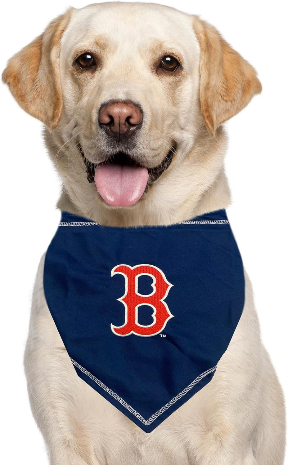 Pets First MLB Boston RED SOX TIE Bandana, Small/Medium. Dog Bandana Scarf Bib for Pet Cat Dog. the Ultimate Game-Day, Party Bandanna, Birthday Event image number 3