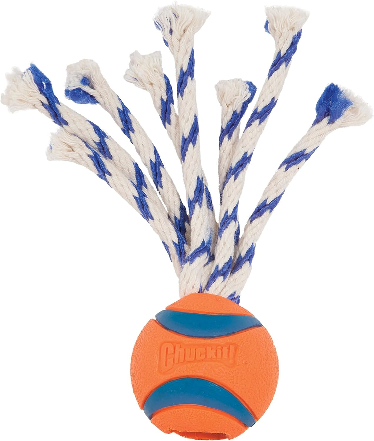 Chuckit! Ultra Toss Dog Toy, Medium Indoor and Outdoor Dog Toy for Dogs 20-60 Pounds image number 2