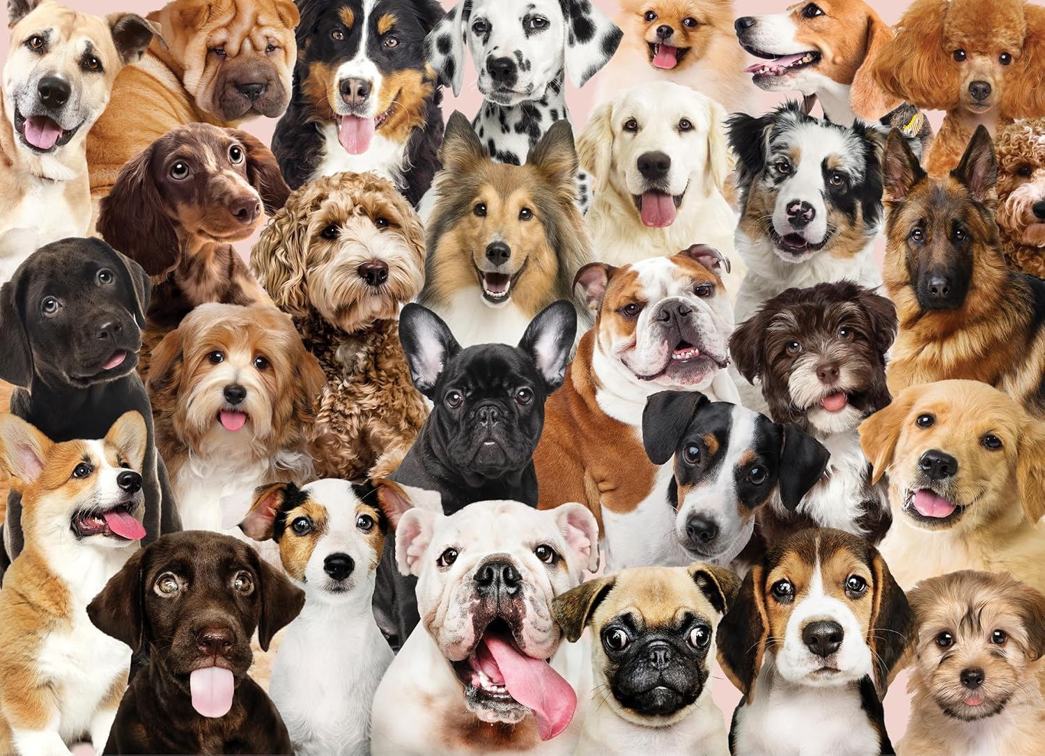 All the Dogs 500 Piece Jigsaw Puzzle image number 1