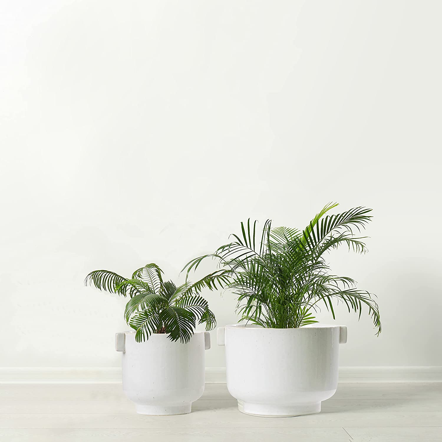 Olly & Rose Cotswolds Ceramic Plant Pot Set with Handles - Indoor & Outdoor Planters - Aged White Gloss Finish image number 3