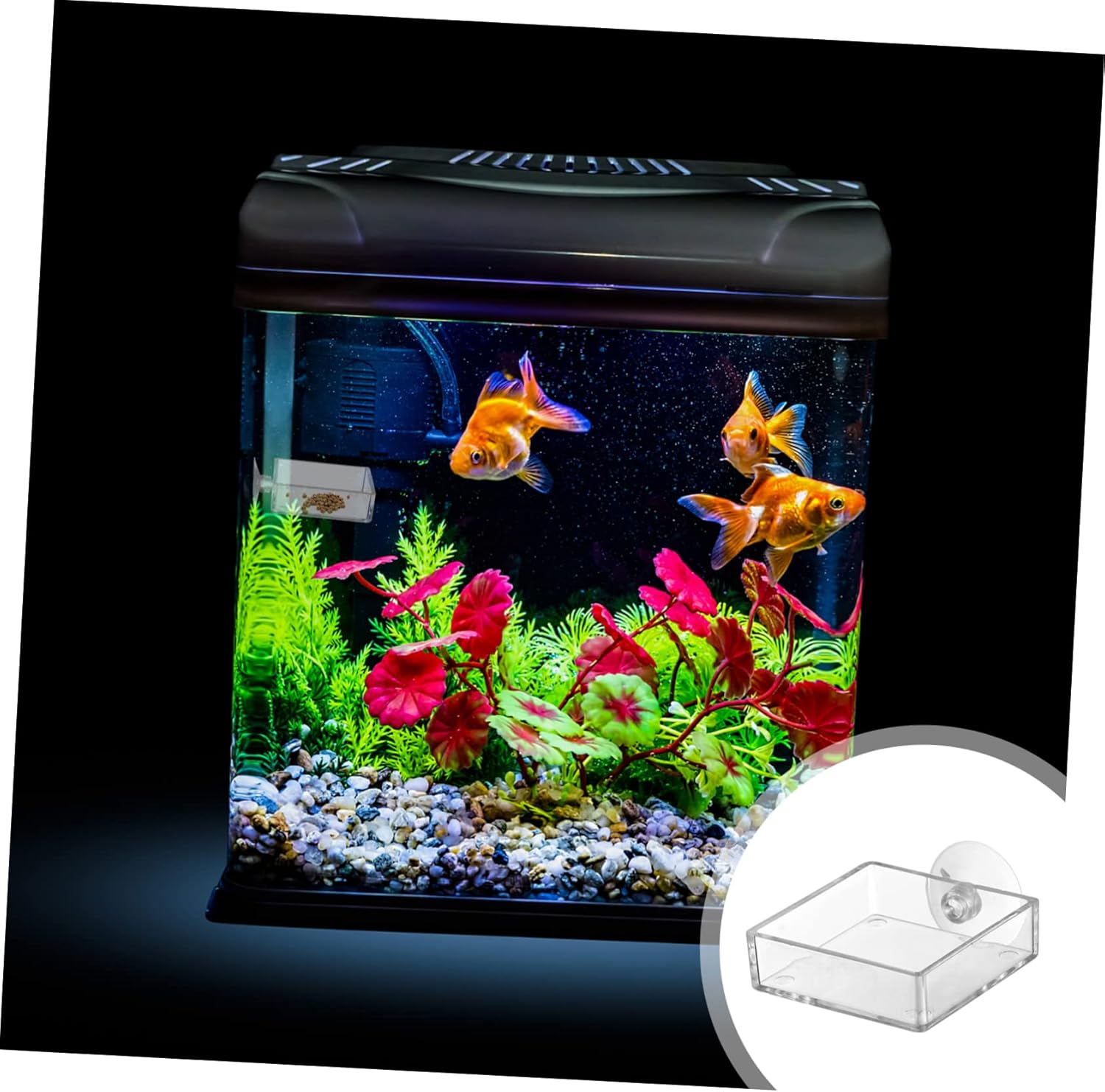 BESPORTBLE 4Pcs Fish Feeder Bowl with Cup Height Feeding Tool for Shrimp and Fish Tanks Easy to Clean and Install Convenient Feeding image number 3