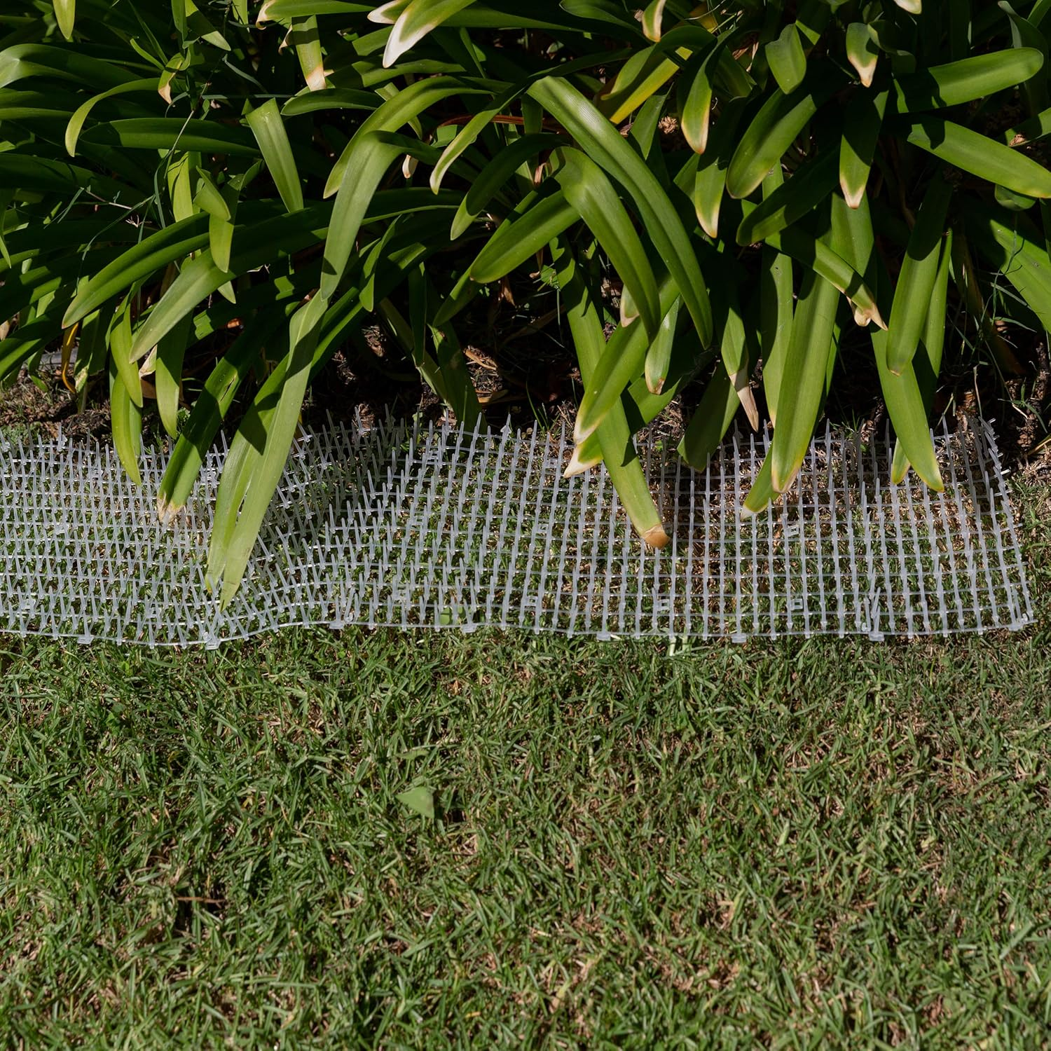 Extra Wide Dog Scat Roll - Plastic Pet Training Mat - 6.5 Ft, 17.5 in - Keep Dogs off Couch - Cat Spike Mat - Cat Deterrent image number 5