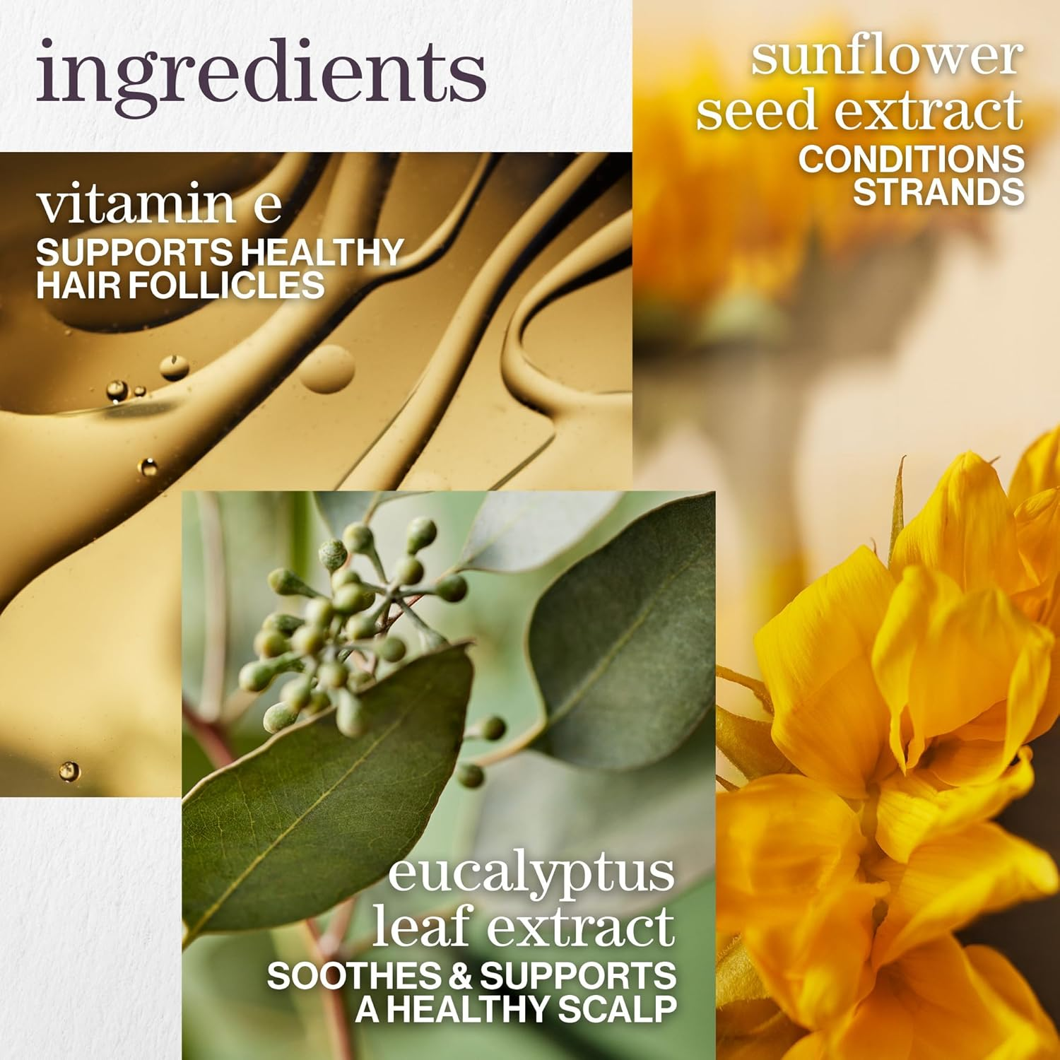 Pureology Pure Volume Shampoo 266 Ml image number 1