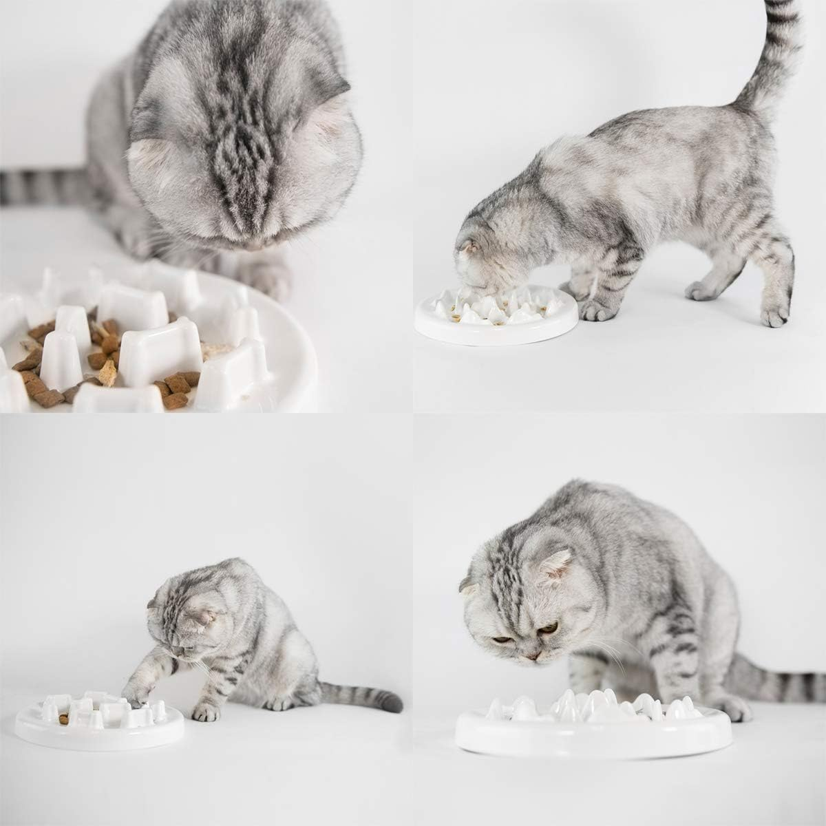 Anti-Gulping Dog Cat Bowl Slow Feeder Interactive Bloat Stop Pet Bowl for Fast Eaters anti Bloat Stop Gobbling (Bone Shape) image number 4