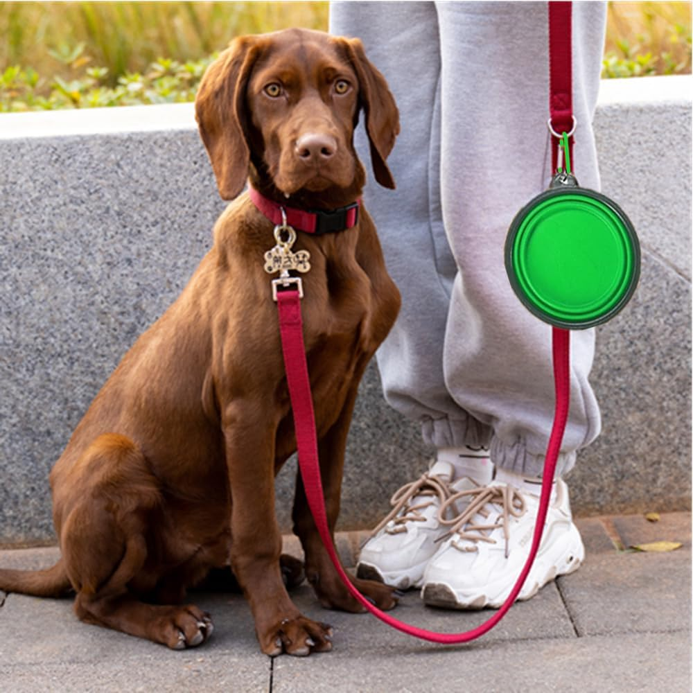 Collapsible Dog Bowl,Granmagazz 2 Pack Collapsible Silicone Dog Bowl, Portable Pet Feeding Watering Dish, Foldable Expandable Cup Dish for Small Pet Cat Food Water Feeding Portable Travel Bowl (Green) image number 2