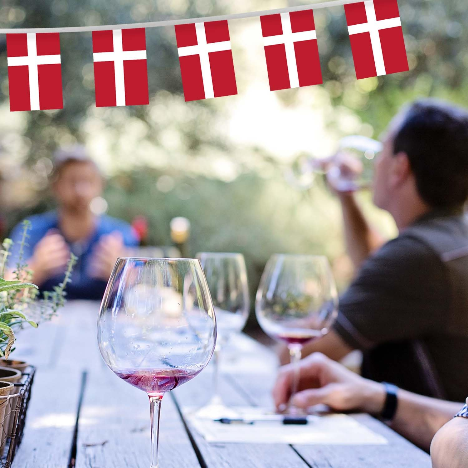 32FT Small Denmark Pennant Flag Bunting,30 PCS Mini String Banner Strip Danes National Decor Rectangle for Holiday Restaurant Home Party School image number 1