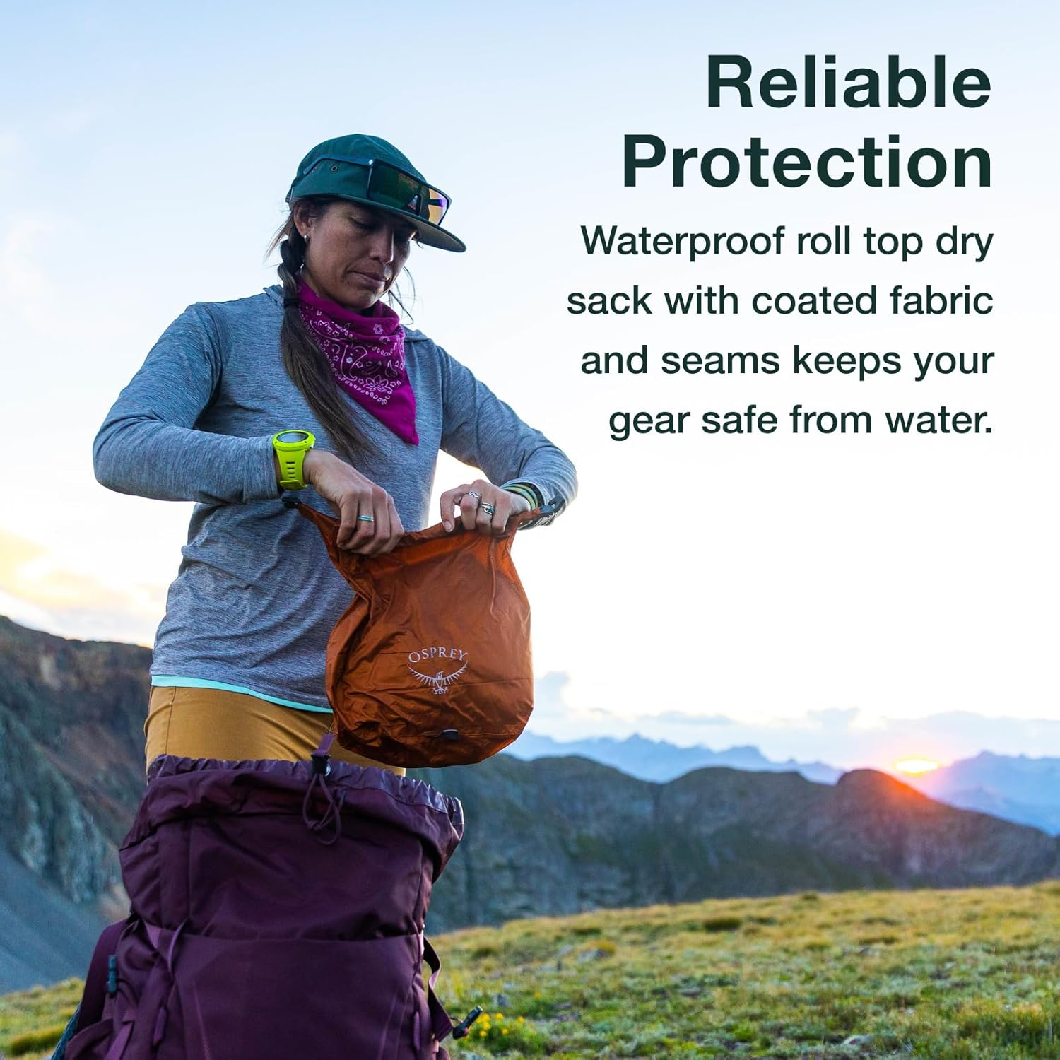 Osprey Osprey image number 1