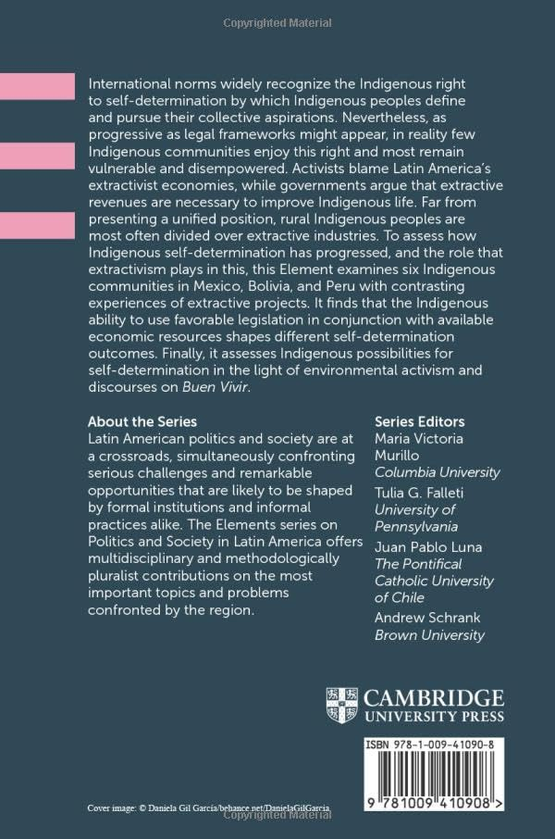 The Indigenous Right to Self-Determination in Extractivist Economies image number 1