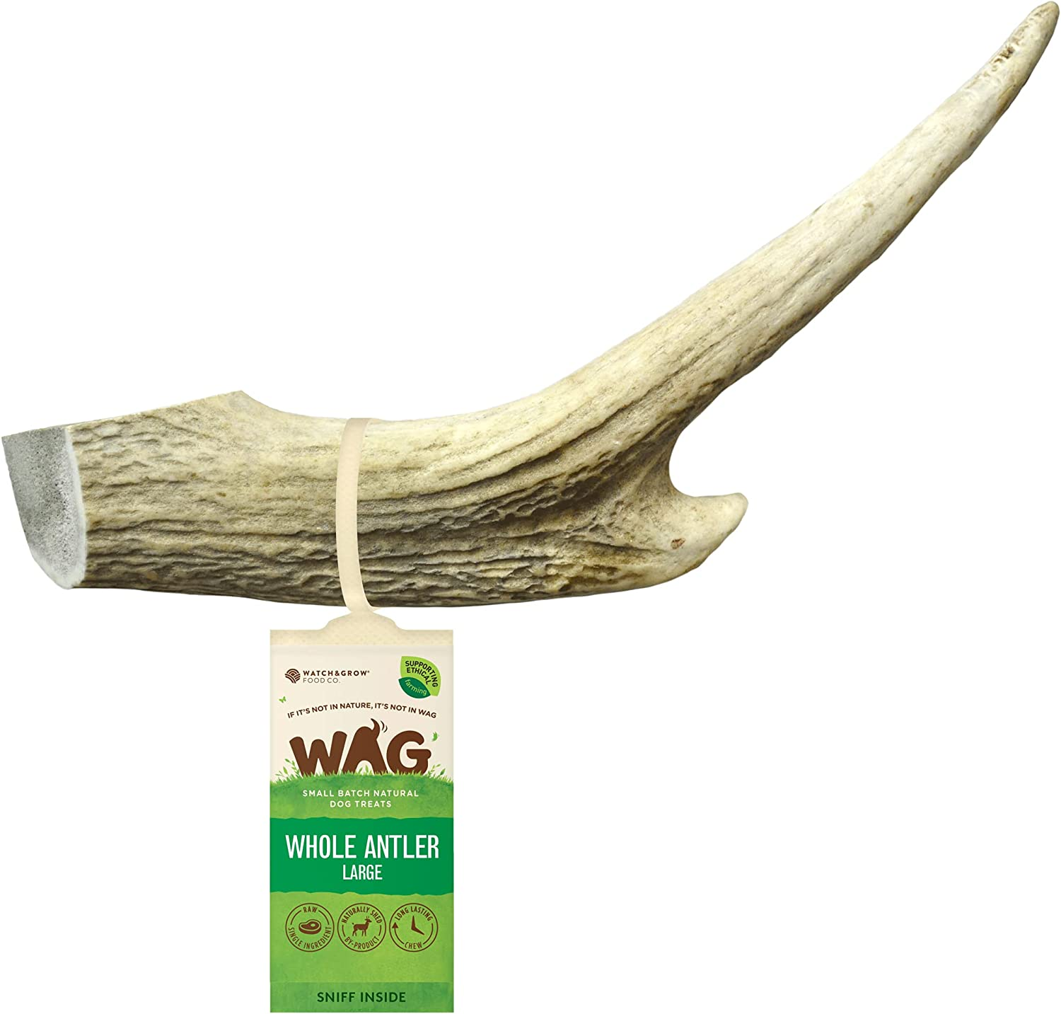 WAG Long Lasting Whole Antler Dog Treat, 4 Pack, Large image number 1