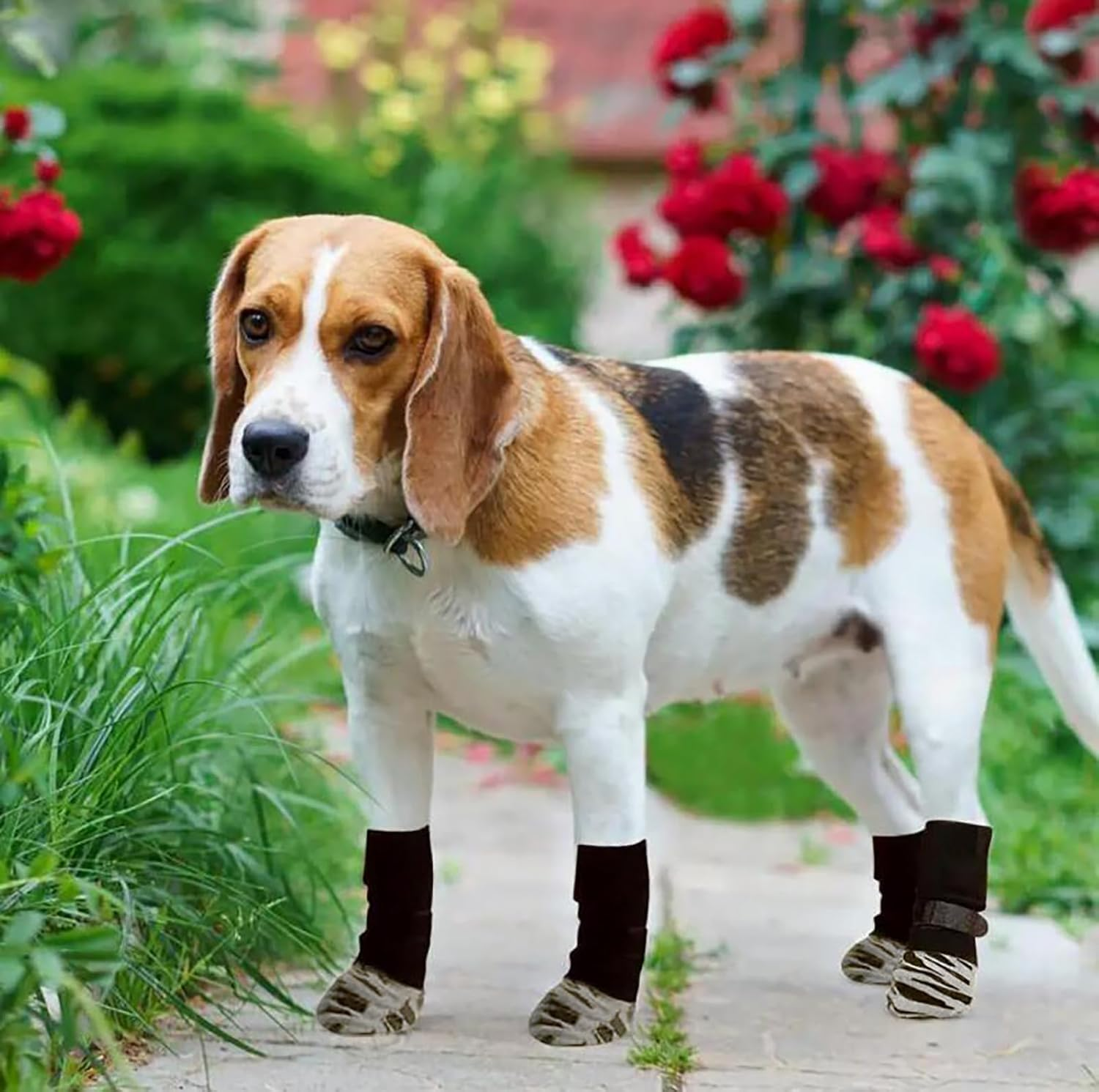 Dog Socks to Prevent Licking Paws, Non-Slip Dogs Grab Socks for Advanced Dogs on Hardwood Floors Comfortable Paw Protectors for Hot Roads and Winter, Dog Socks and Booties（Tiger Pattern 2 Pairs XL）