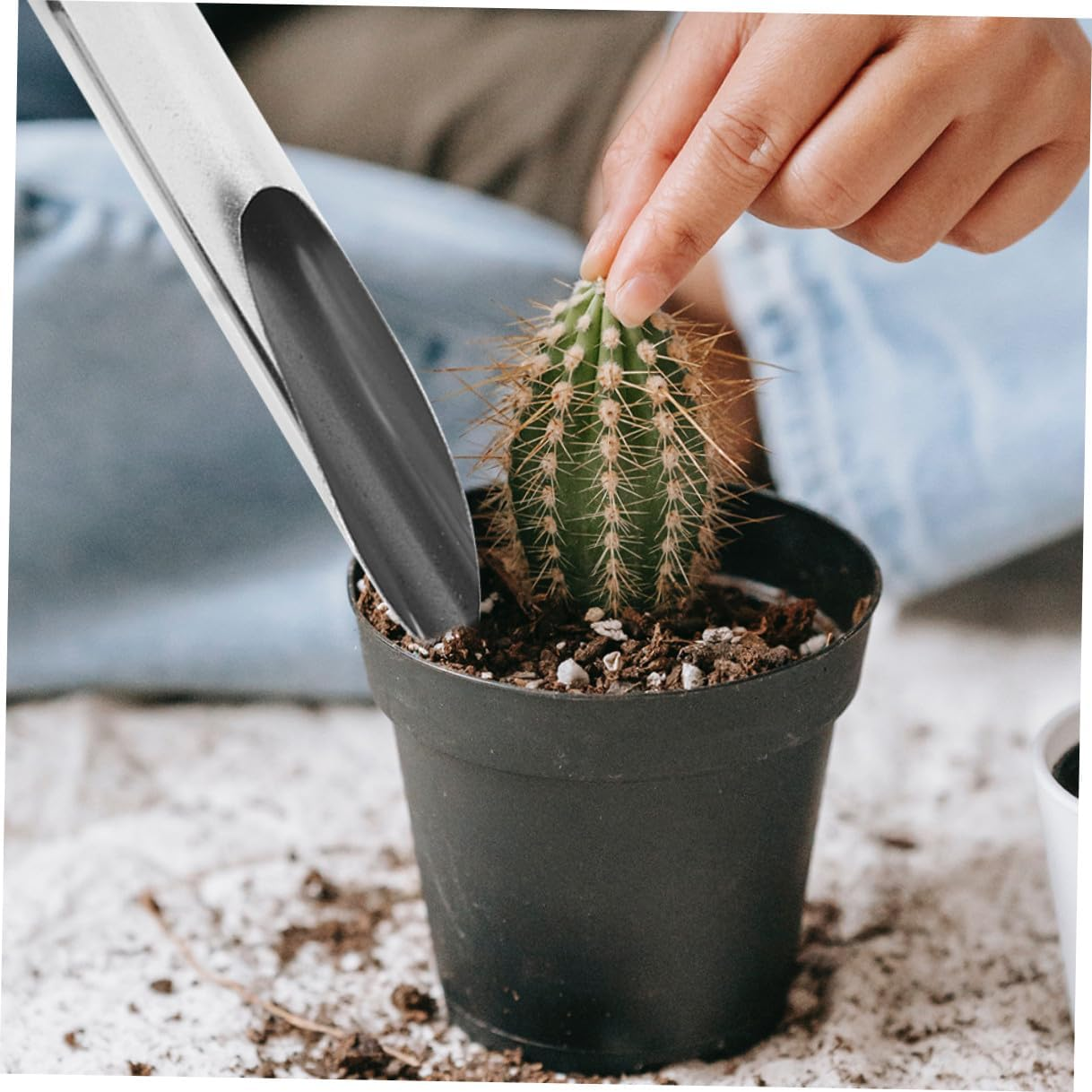 Stainless Steel Soil Scoop and Planting Spoon for Gardening Small Size Multi-Use Garden Shovel Bucket for Bonsai Succulents and Home Vegetable Planting