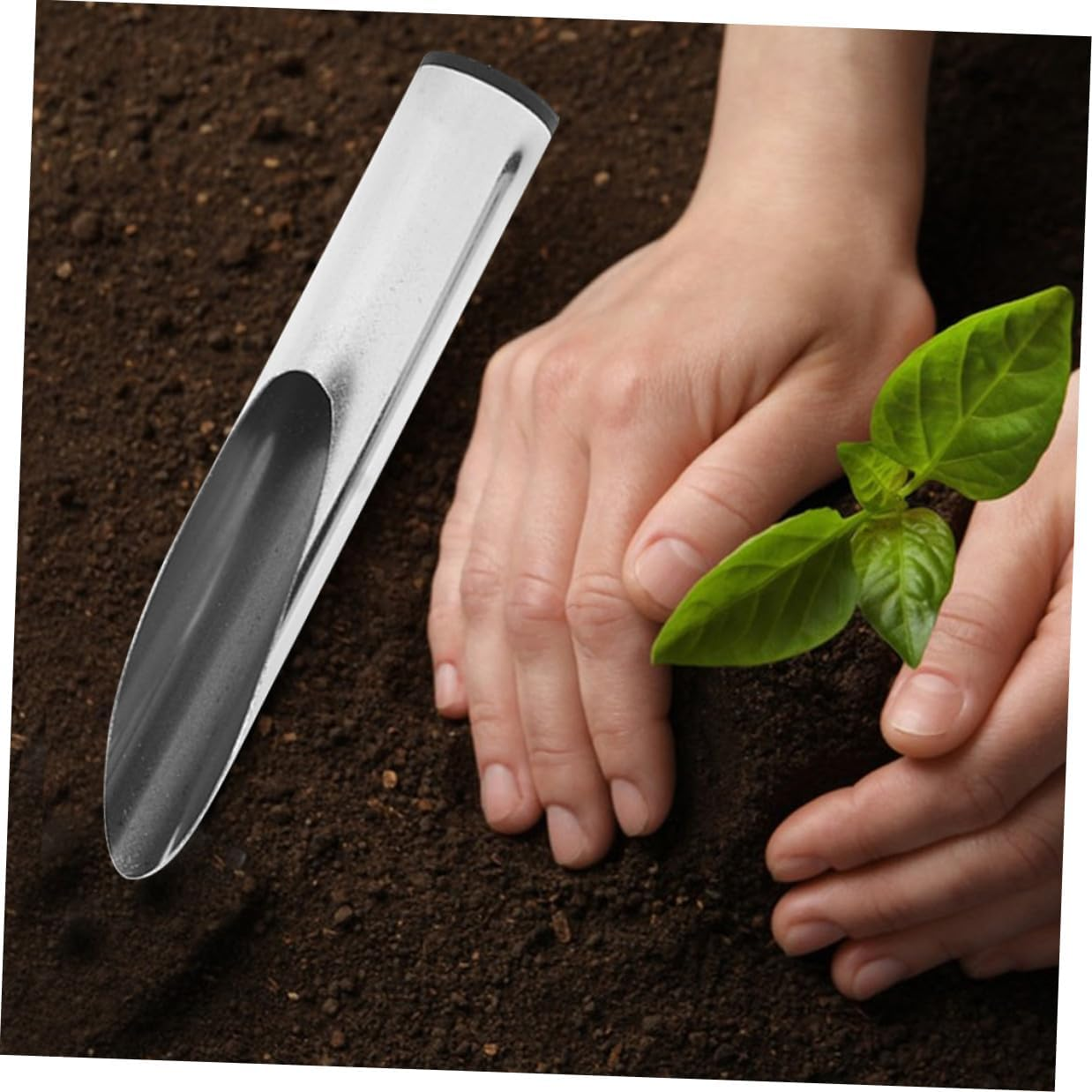 Stainless Steel Soil Scoop and Planting Spoon for Gardening Small Size Multi-Use Garden Shovel Bucket for Bonsai Succulents and Home Vegetable Planting image number 6