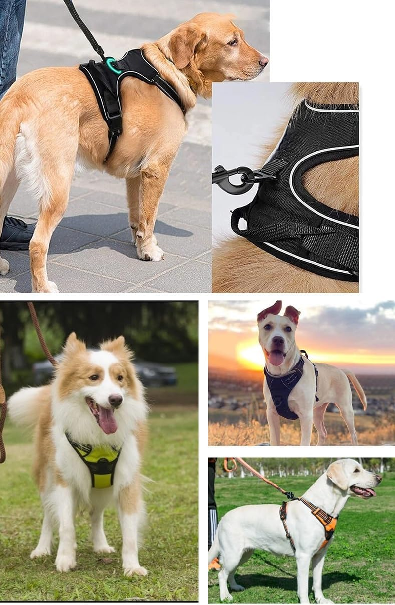Dog Harness, No Pull Dog Harness and Lead Set for Small Medium Large Dogs No Choke Reflective Dog Harness with Front Clip Adjustable Soft Padded with (Black, Large)