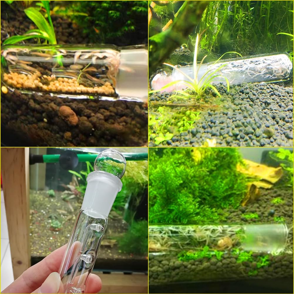 Pack of 2 Efficient Planarium Traps, 3 Hole Clear Glass Planaria Trap for Fish Tank Aquarium, Clear Glass Catcher Trap (Reusable) image number 6