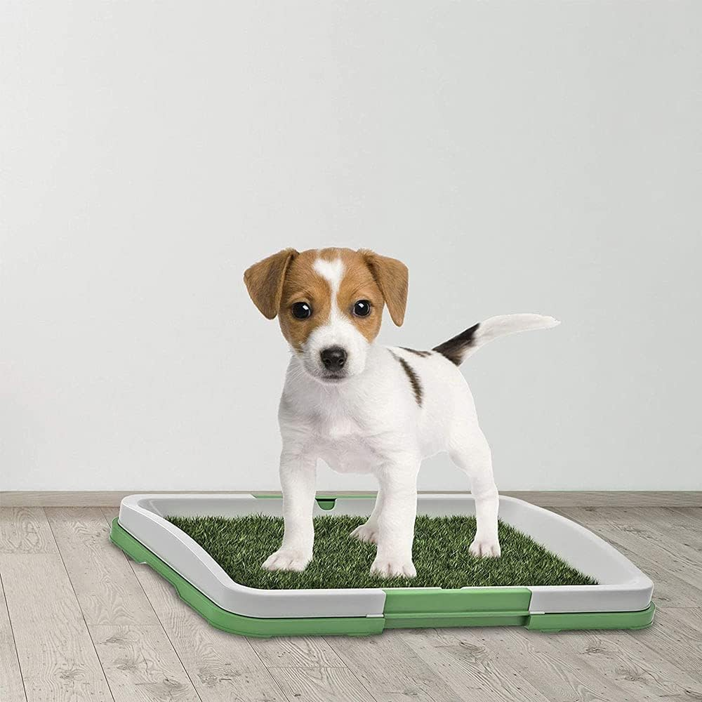 Artificial Grass Puppy Pad for Dogs and Small Pets&ndash;Portable Training Pad with Tray&ndash;For Puppies and Small Pet, Portable Potty Trainer for Indoor and Outdoor Use, Puppy Essentials image number 4