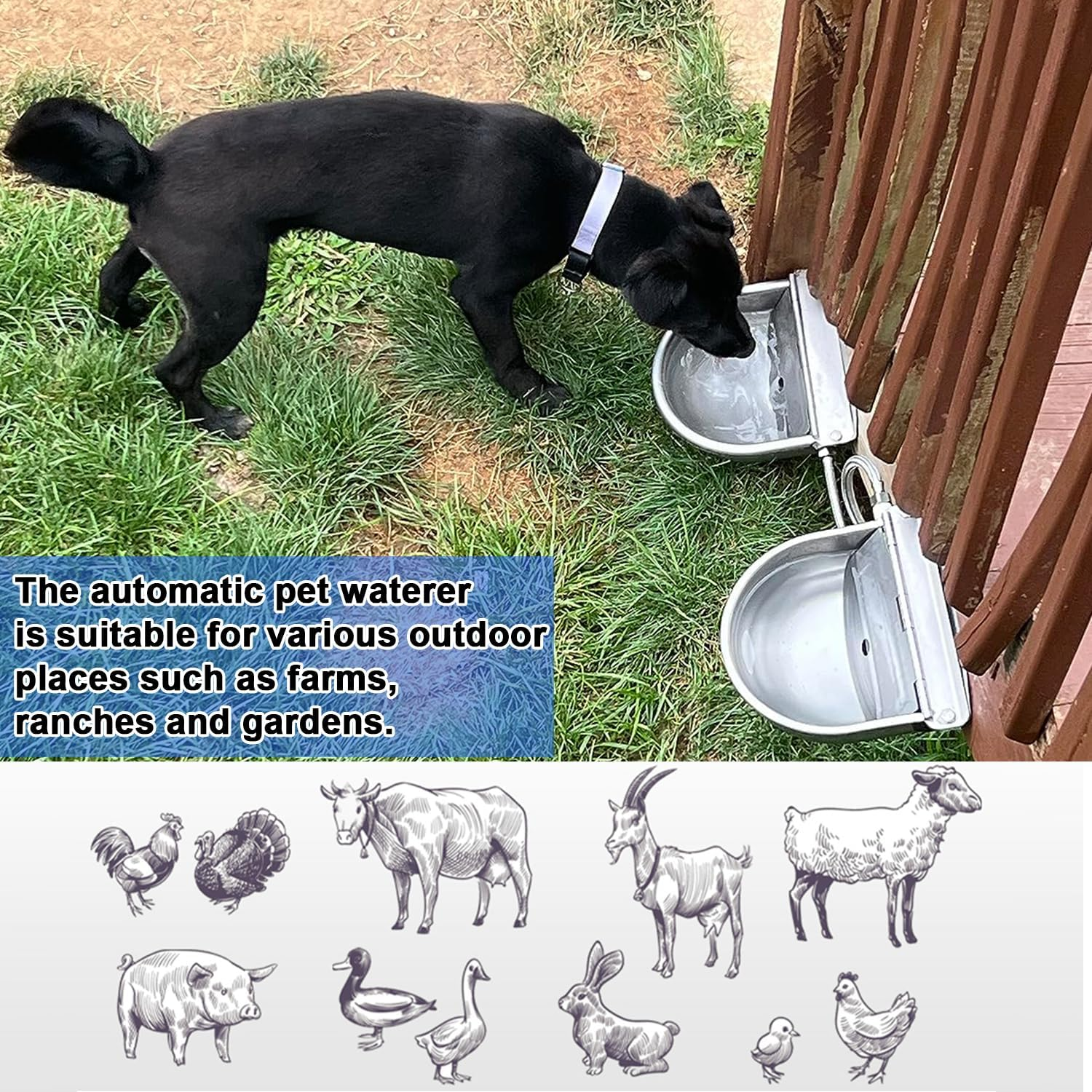Automatic Livestock Waterer, 2.5L Durable Cattle Automatic Water Bowl-Dog Water Dispenser, 304 Stainless Steel Auto-Filling Waterer for Horses Sheep Cow Needed Farm Animal Waterer with Drainage image number 4