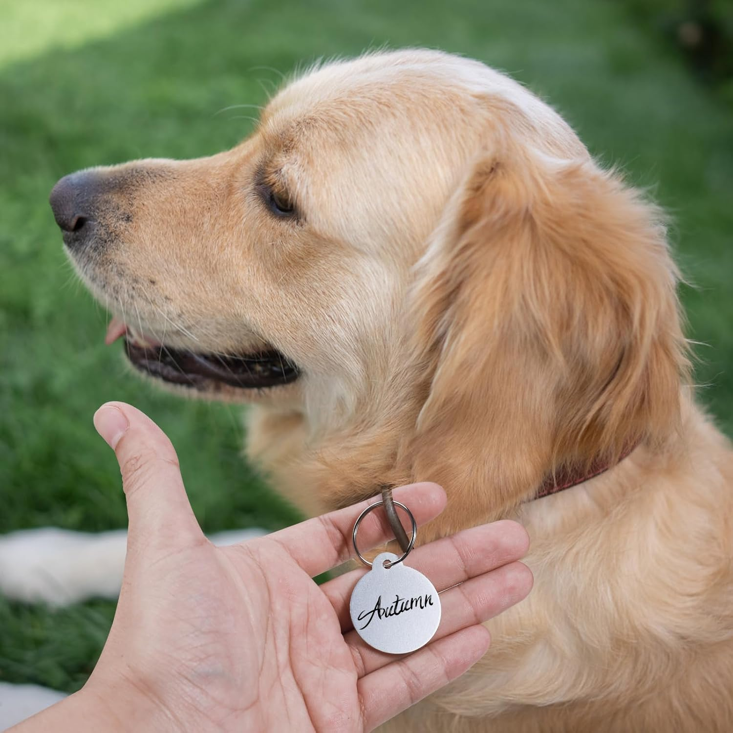 25Pcs Blank Dog Tags for Engraving, 3.1Cm/1.2In Dog Name Tags Cat Pet ID Personalized, round Metal Stamping Blanks Aluminum Metal Tags with Key Ring Keychain