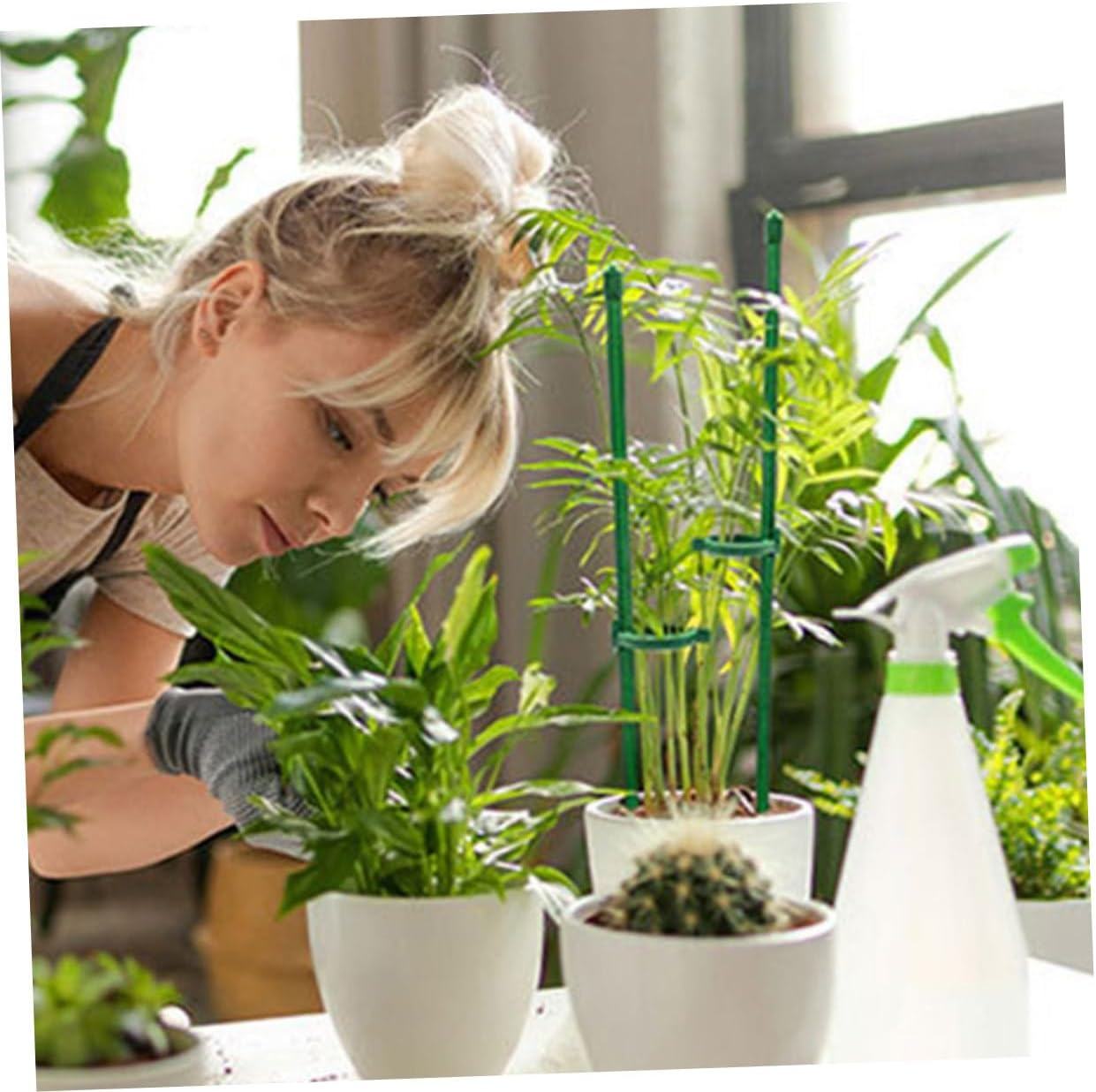 Yardenfun 12Sets Plant Support Stakes for Flower Garden Single Stem Plant Supports Garden Stakes for Growing Sticks image number 5