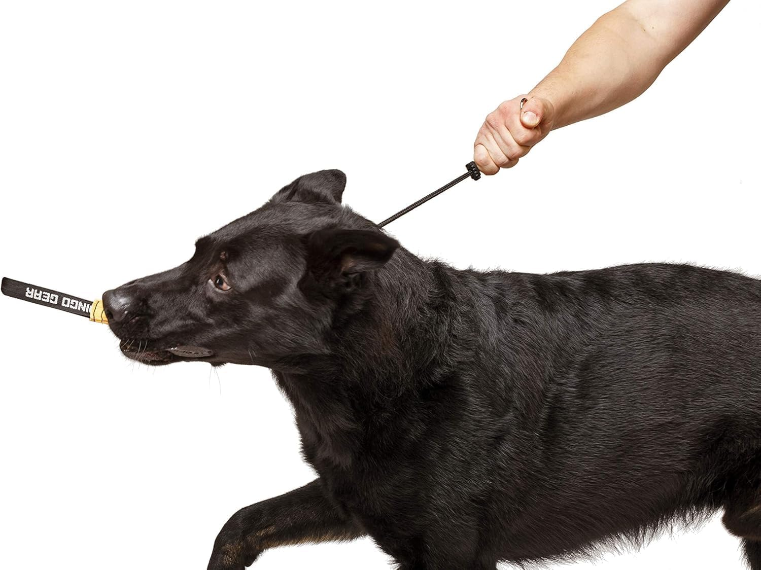 Dog Training Nylon Traction Rope, Non Slip Collar Type, Heavy-Duty anti Pull Traction Rope, Suitable for Medium and Large Dogs (Black, M) image number 3