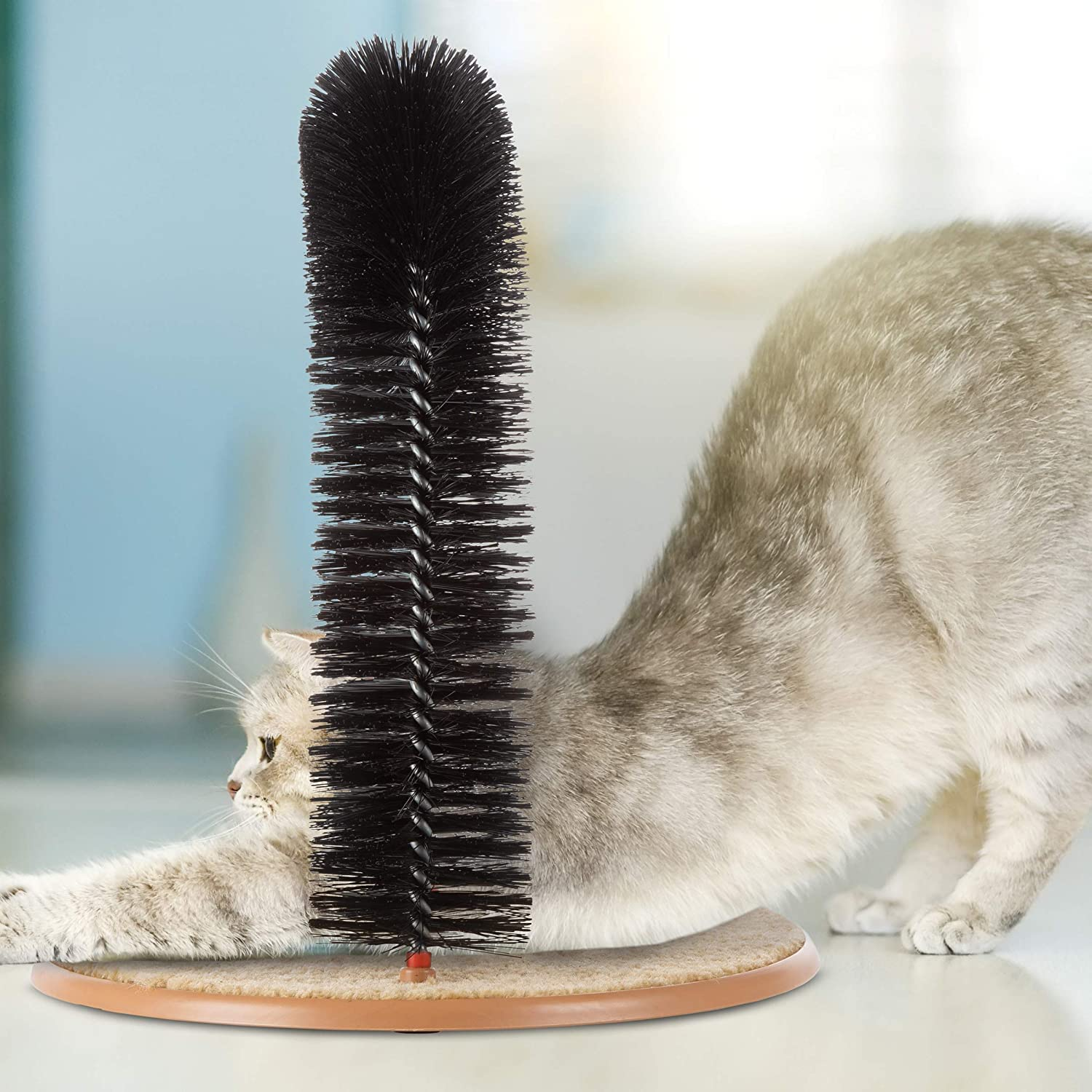 Self Grooming Cat Arch, Scratcher Toys, Brush for Grooming with Scratch Pad and Catnip, Brush for Shedding, Scratching Post, Interactive Toys image number 5
