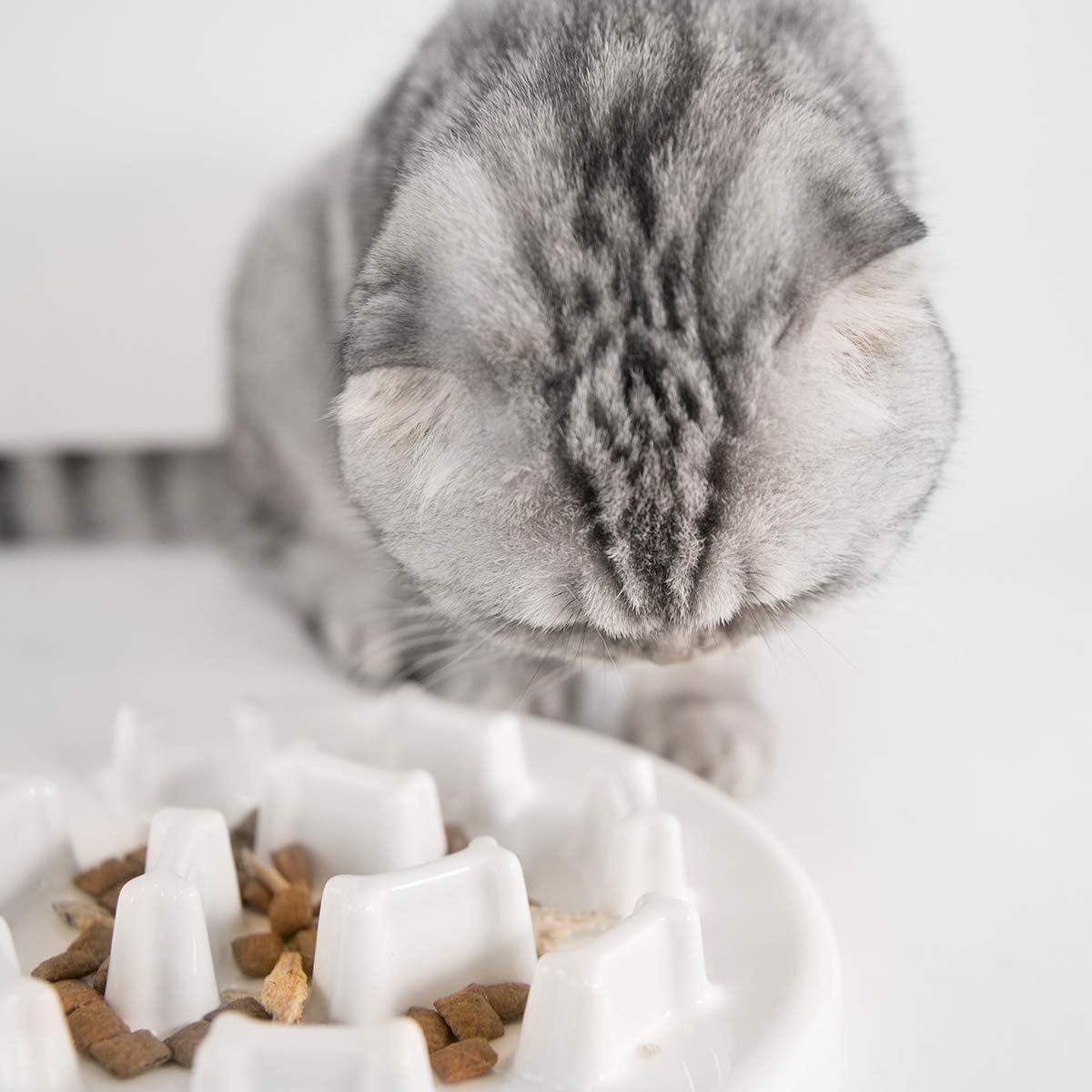 Anti-Gulping Dog Cat Bowl Slow Feeder Interactive Bloat Stop Pet Bowl for Fast Eaters anti Bloat Stop Gobbling (Bone Shape)