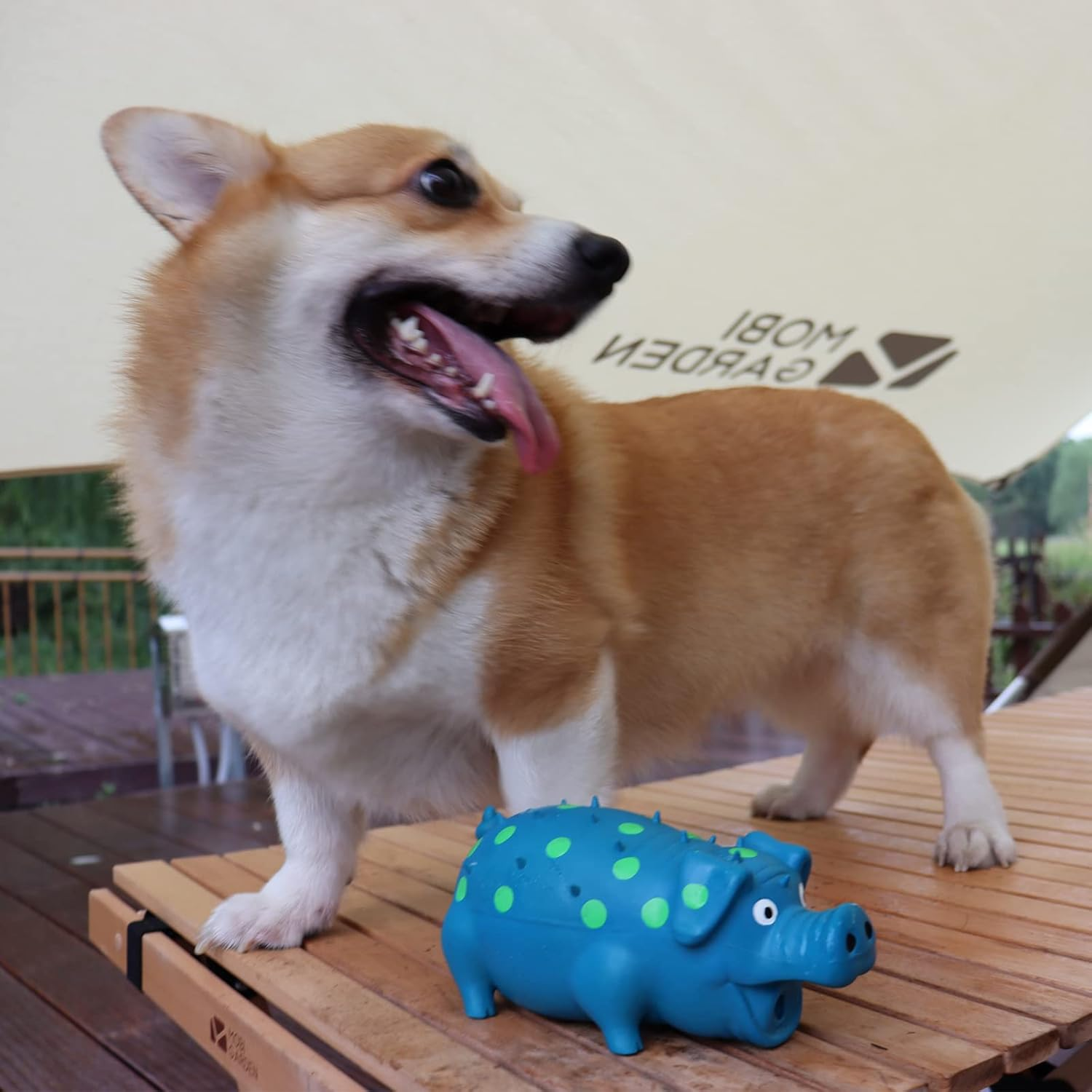 Pig Squeaky Dog Toy, 2 PCS Interactive Rubber Chew Toy - Durable Latex Spot Grunting Toys That Oink for Small Medium Large Dogs (Orange, Blue) - Blue, Purple image number 7