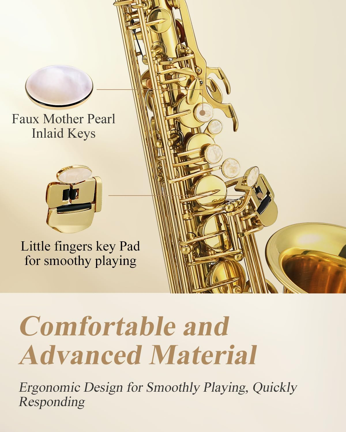Eastar Professional Alto Saxophone E Flat Eb Gold with Cleaning Cloth, Carrying Case, Mouthpiece, Neck Strap, Reeds and Stand, Full Kit, AS-Ⅲ image number 5