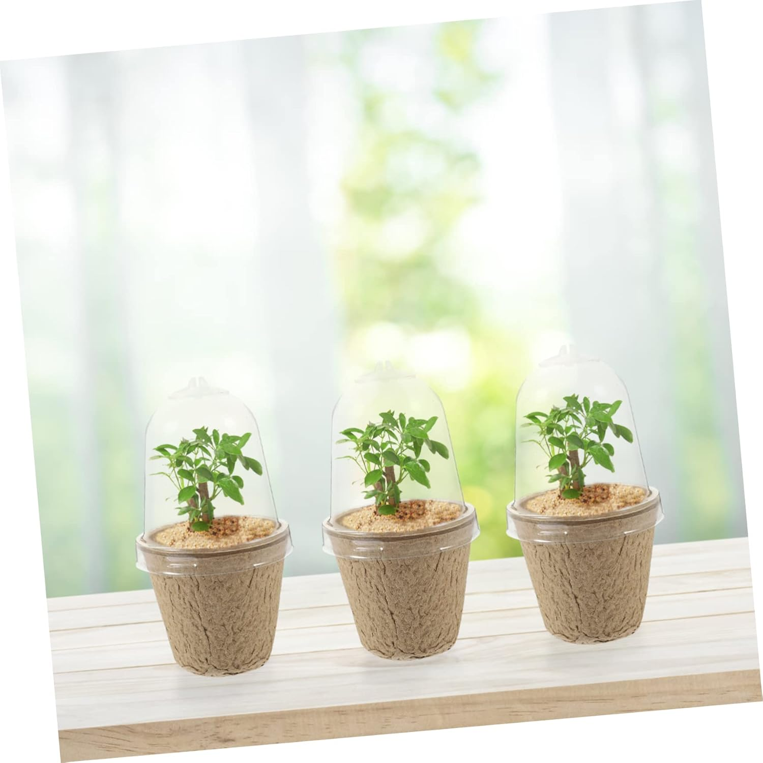 20Pcs Pulp Seedling Cups Plant Containers for Succulent Bonsai Garden Nursery Pots image number 2
