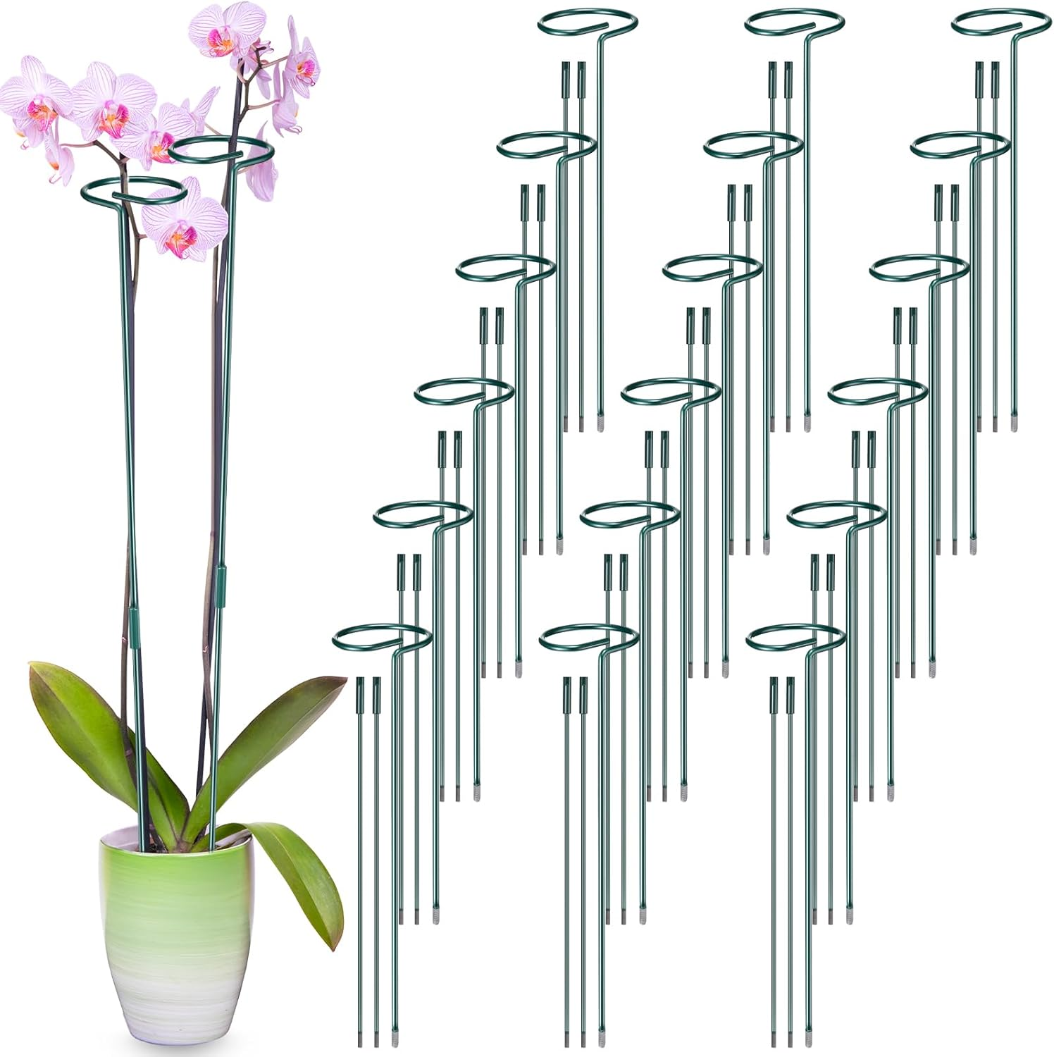 24 Pack Plant Support Stakes for Three Sizes(12 or 24 or 36 Inch) Metal Plant Support Sticks Support Stake Plant Stem for Flowers Amaryllis Tomato Lily Peony Rose Flower Narcissus(36 Inch) image number 3