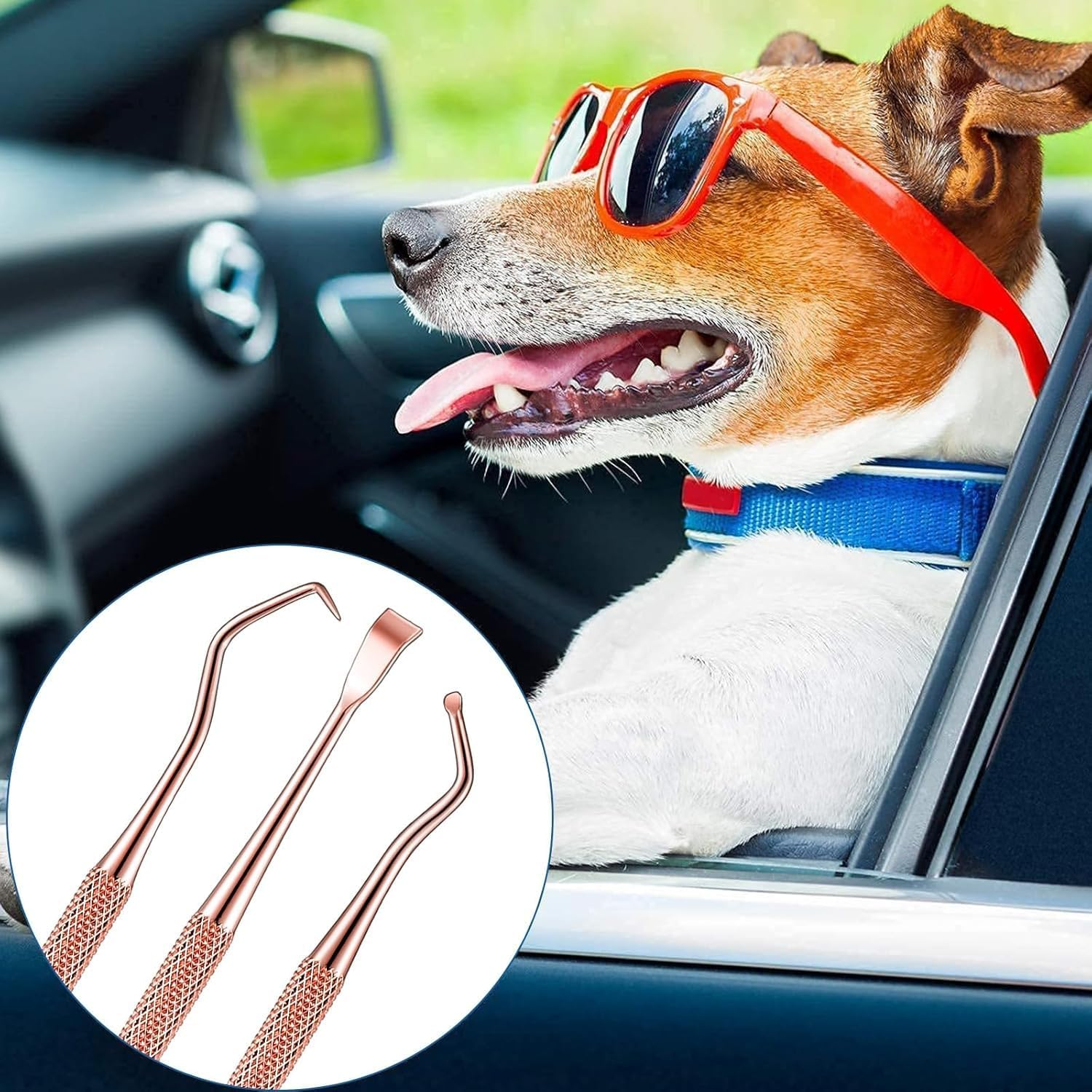 3 Pieces Dog Dental Tooth Scaler and Scraper Stainless Double Headed Tarter Removing Tool Scraper Pet Teeth Cleaning Tools for Dog and Cat (Rose Gold)