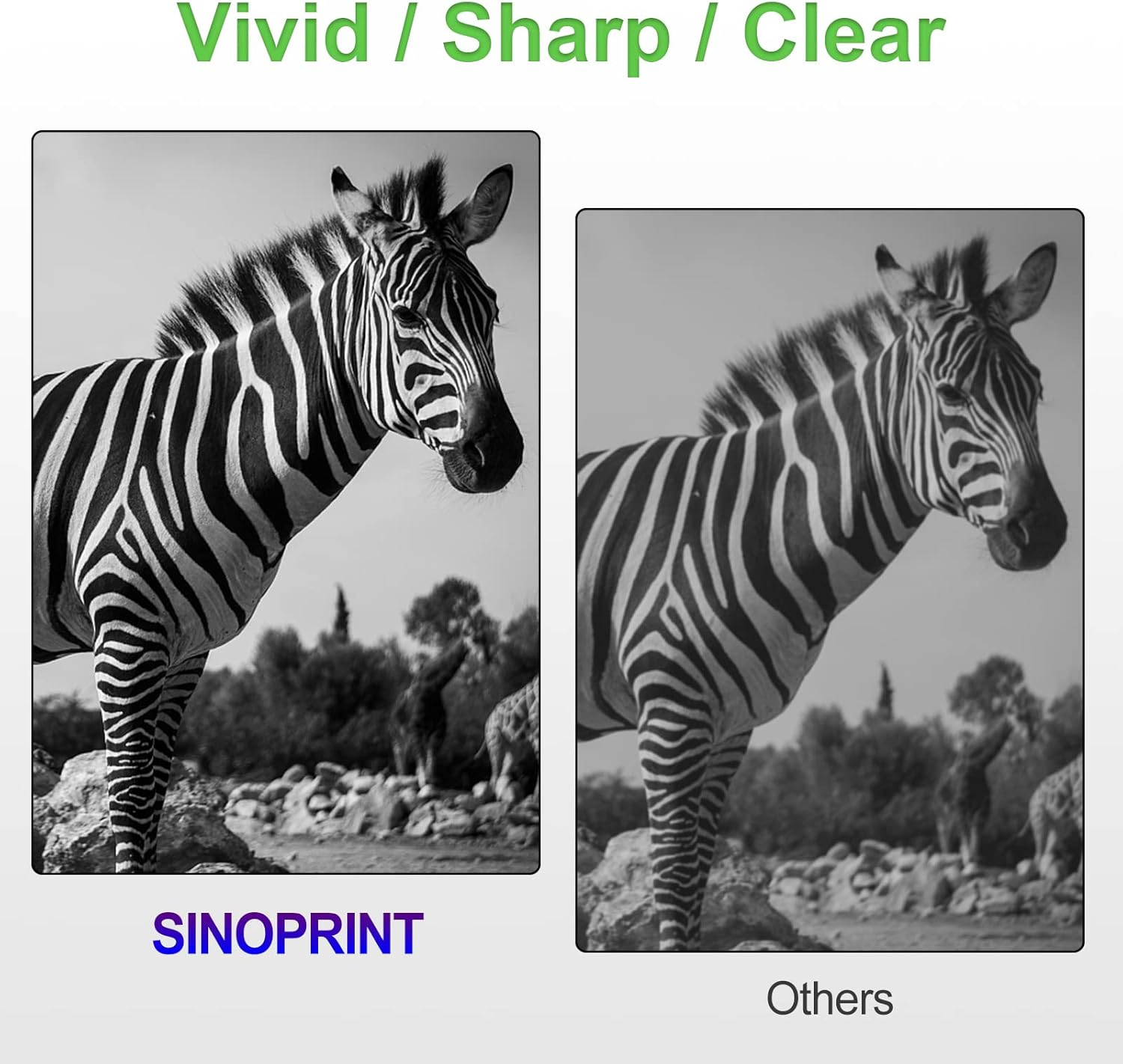 48A Toner Cartridge Replacement for HP 48A CF248A 248A Compatible for HP Laserjet Pro M15W M15A M16A M16W Laserjet MFP M28W M28A M29A MFP M29W M14 M17 M30W M31W Printer Ink (Black, 2-Pack) image number 2