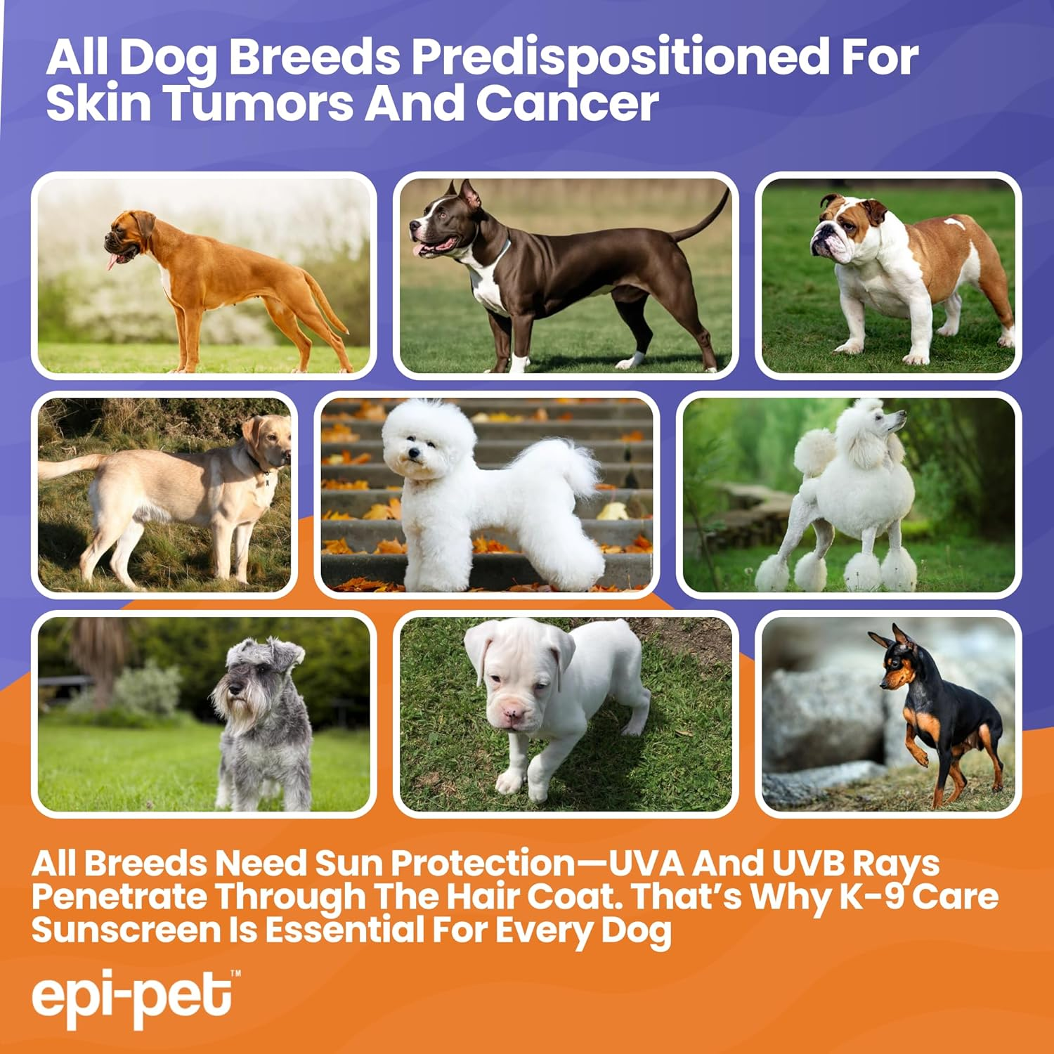 Epi-Pet Sun Protector Spray for Pets image number 1