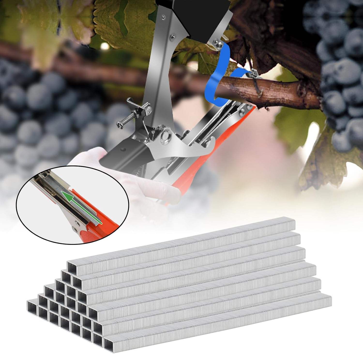 Replacement Staples Tapener Parts 1/4 Inch Length 210 per Strip 26/6 Standard Staples for Staplers, 10,000 General Purpose Staples image number 6