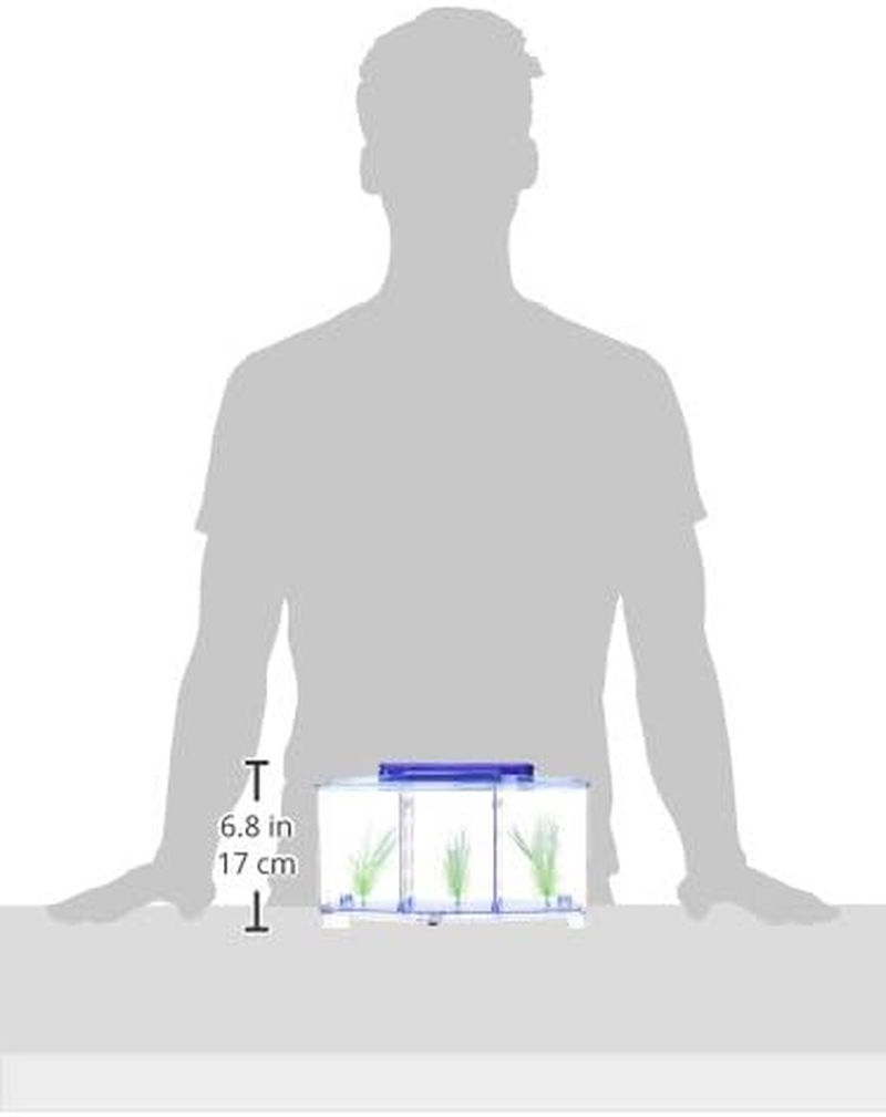 Penn Plax Betta Aquarium Kit Complete with LED Lighting image number 2