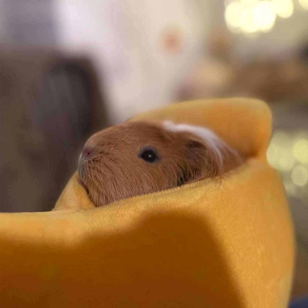 Cute Pet Banana Shaped Warm Cat Nest Dog Nest Semi Closed Pet Nest Hamster Nest Pet Bed Sleeping Mat (Yellow, XL) image number 6