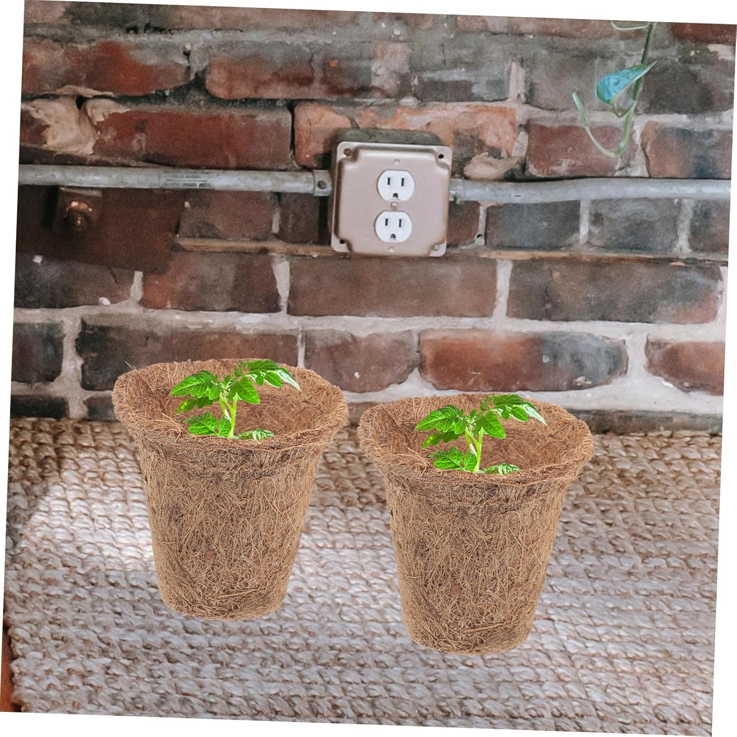 Toddmomy 1Set Coir Plant Nursery Pots Coconut Fiber Cups Nutrient Packs Plant Labels for Easy Transplanting Gardening Supplies